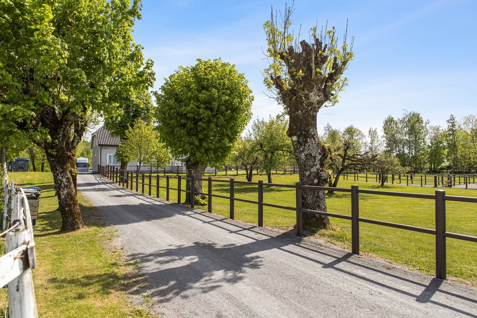 Vakker allé inn til eiendommen! Galleribilde