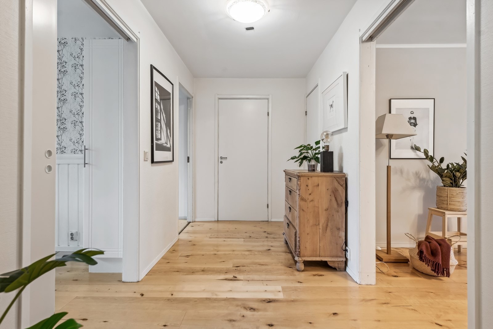 Romslig entré/gang Galleribilde