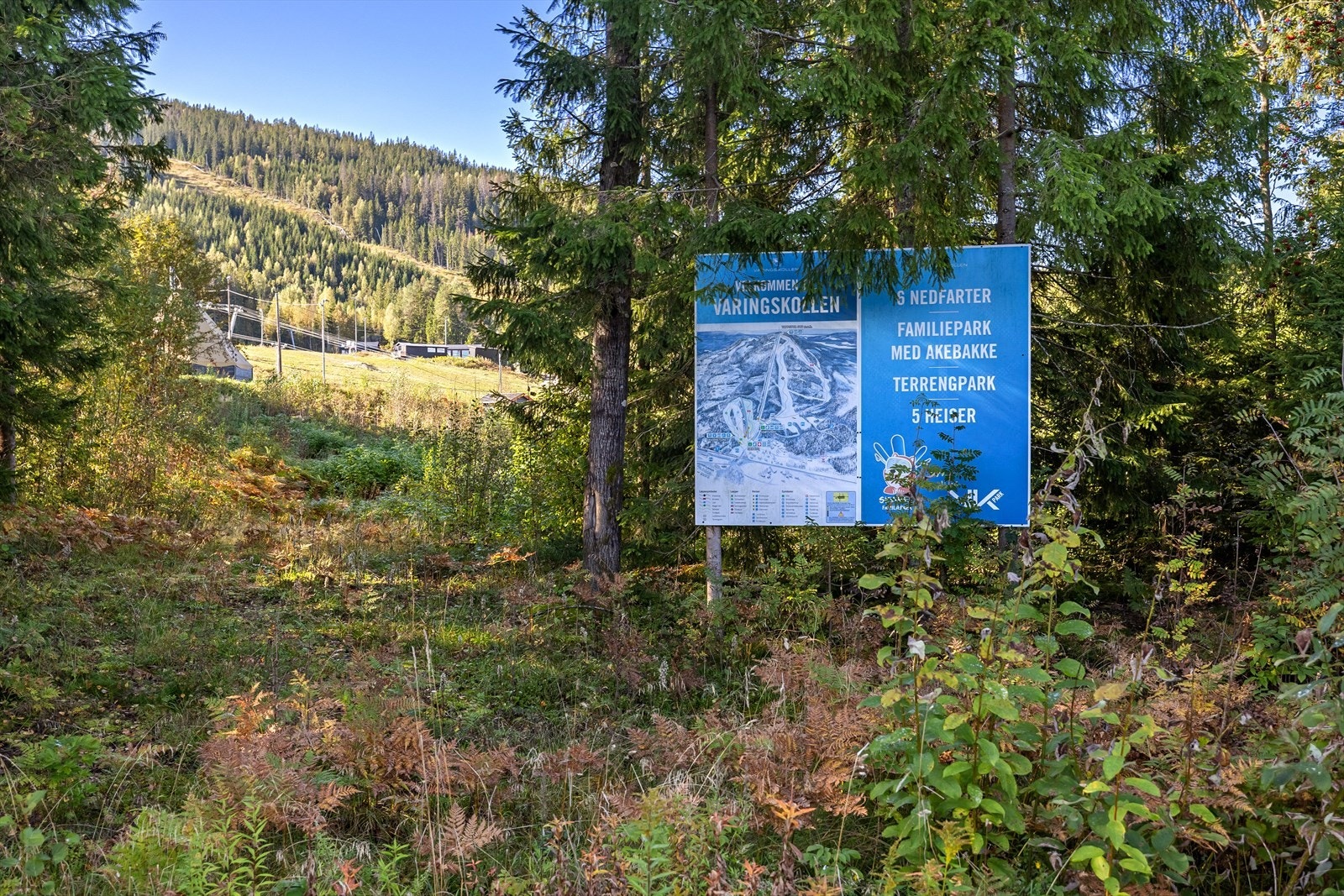 Områdebilde. Galleribilde