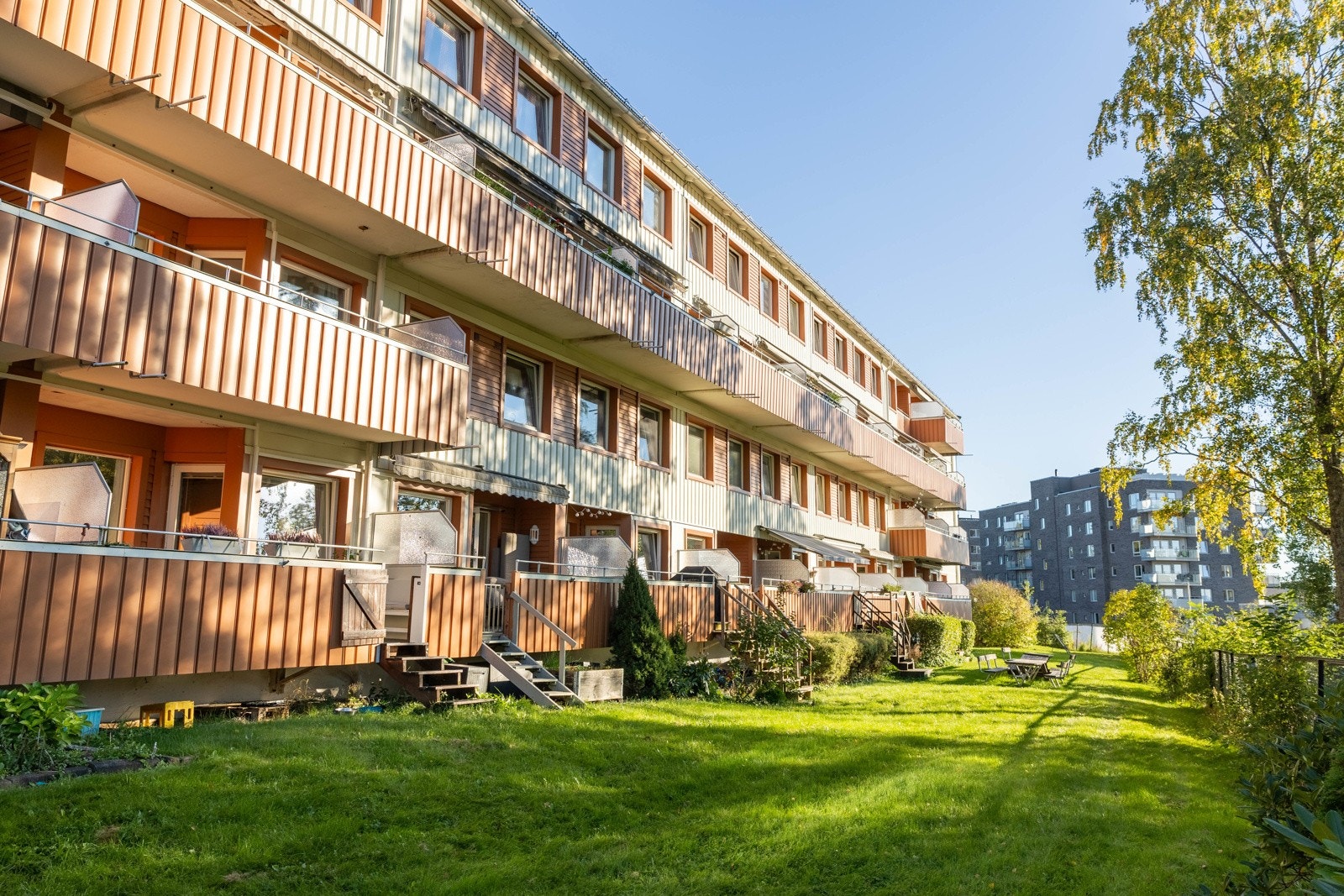 Det er tillatt med dyr Galleribilde