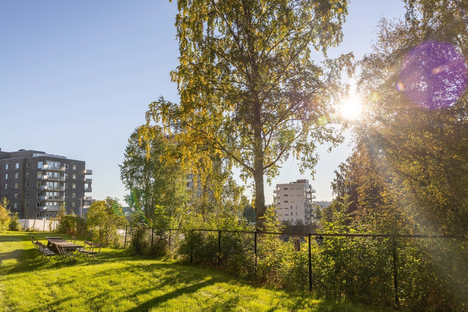 Sjenerende og skjermet Galleribilde