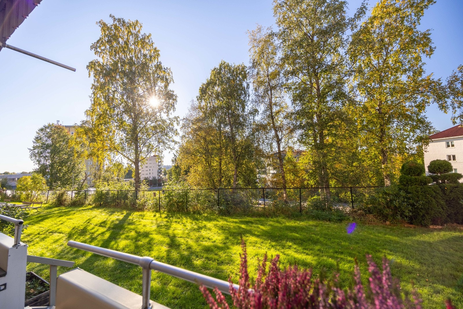 Om sommeren kommer solen i to-tiden og varer til ettermiddagen Galleribilde