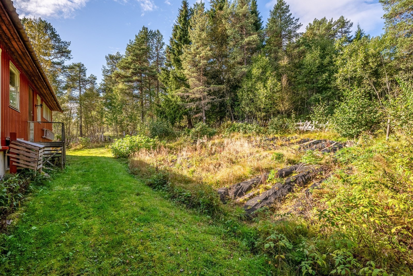 I nærområdet er det fine turområder både sommer og vinter. Galleribilde