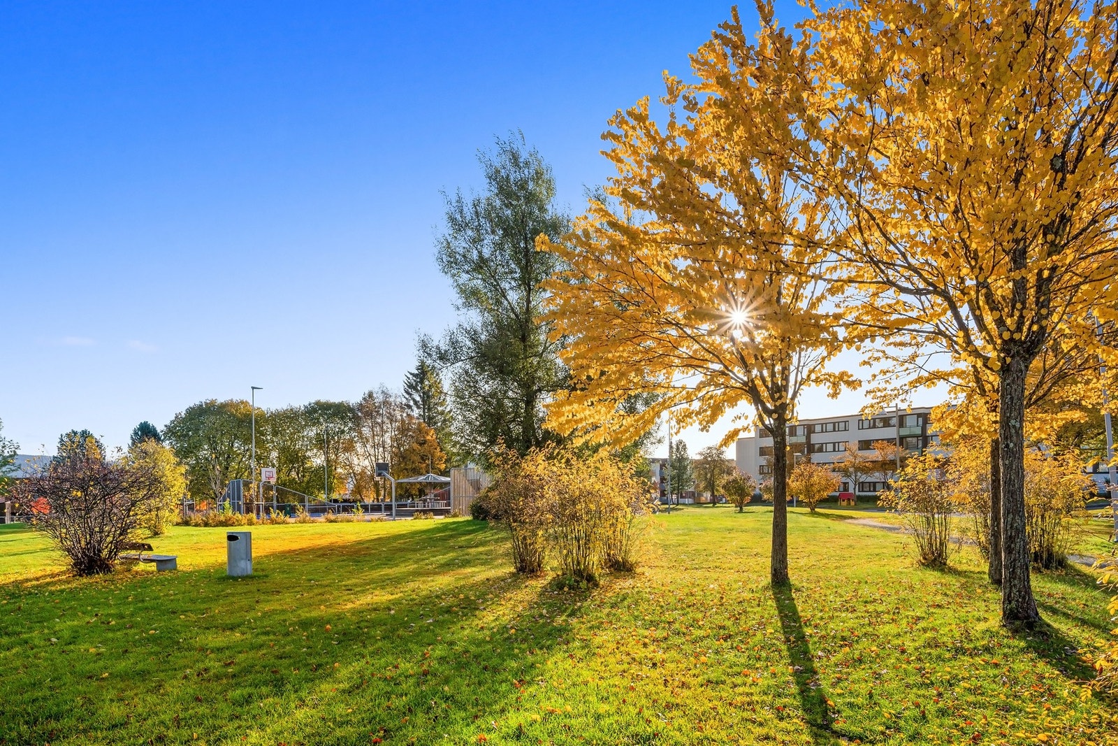 Kort vei til Bymarka med utallige turmuligheter sommer som vinter. Galleribilde
