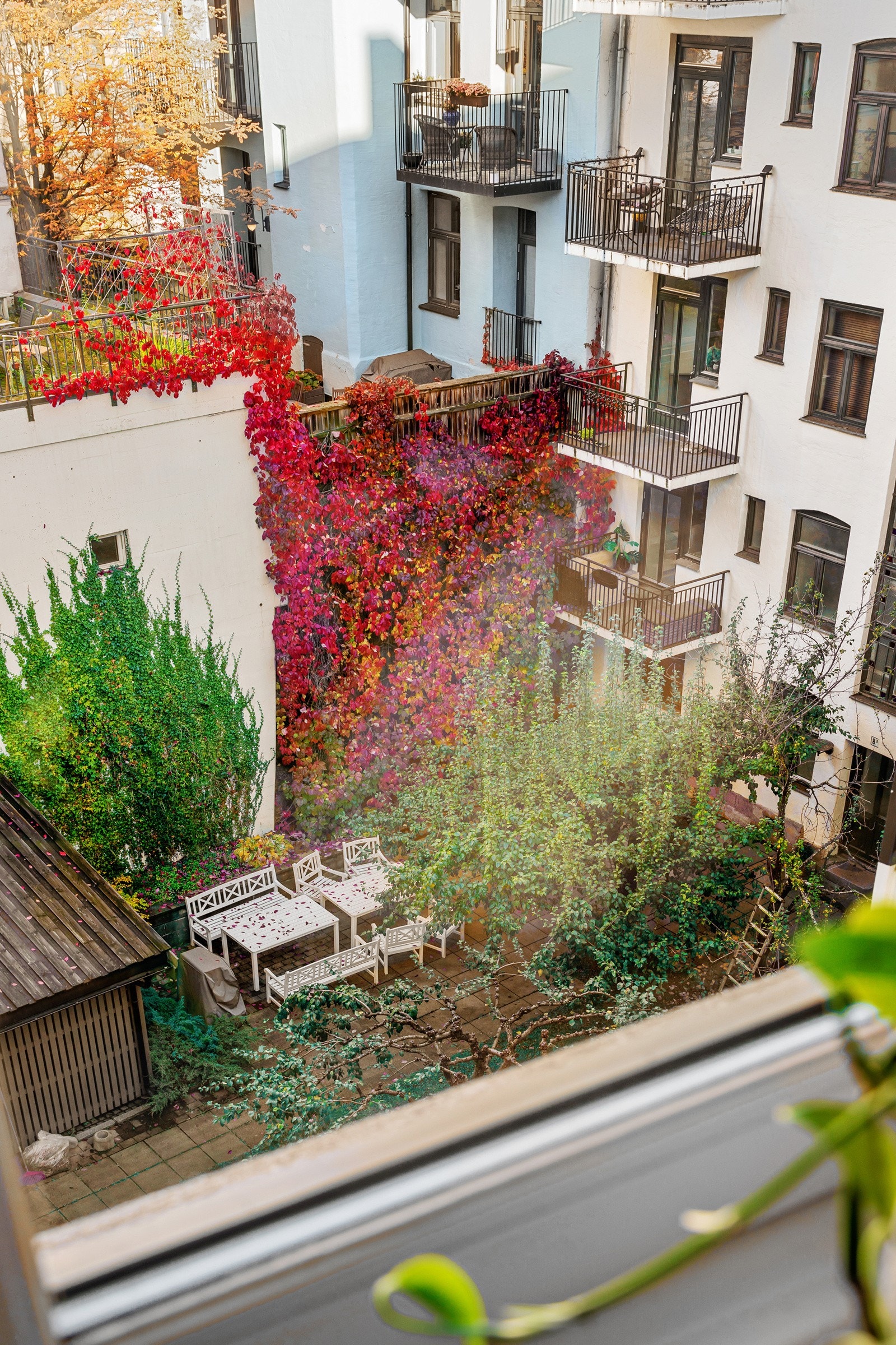 Soverommene har et stort vindu som sørger for godt med naturlig lys Galleribilde