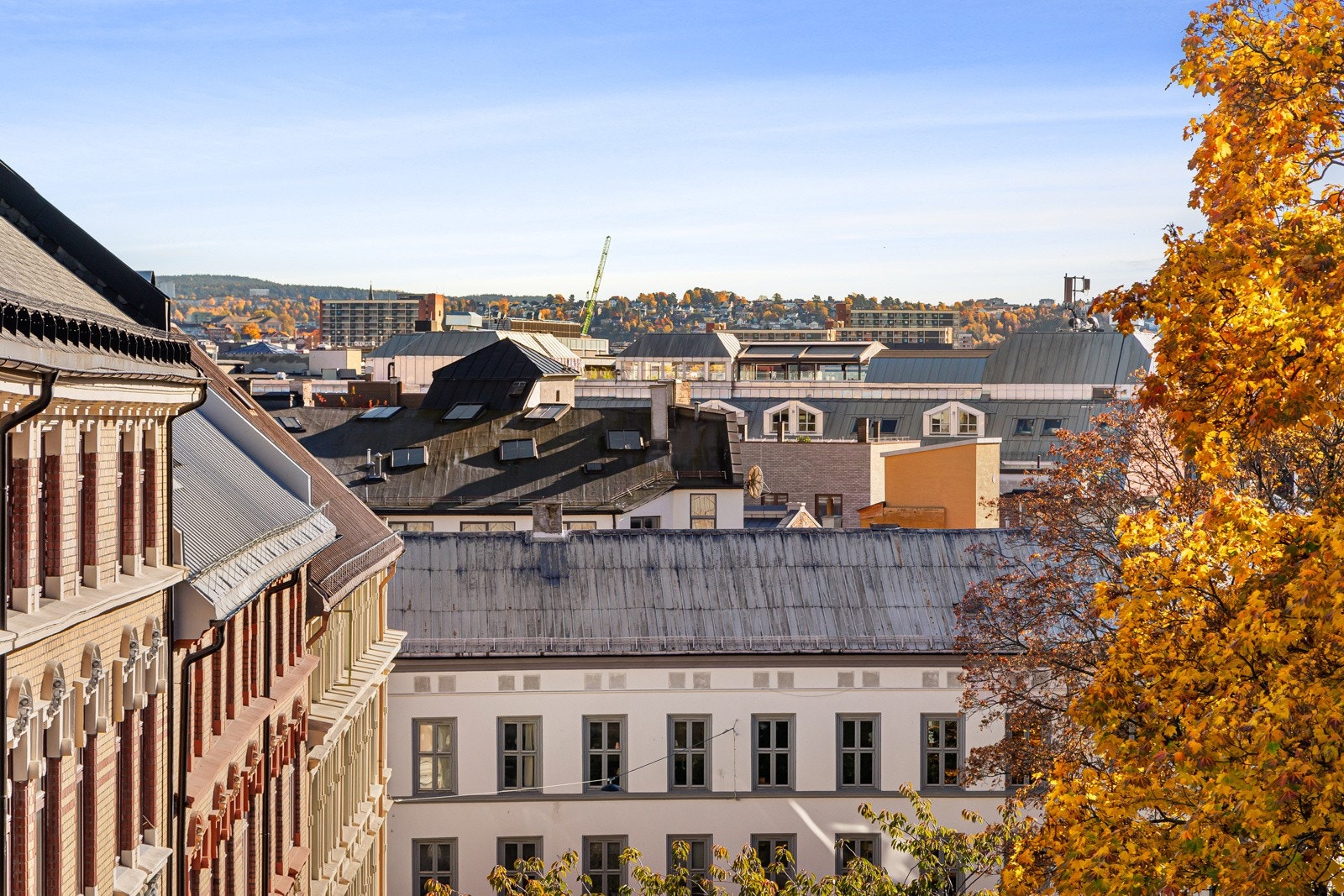 Hyggelig utsikt fra stuevinduene mot et vidt himmelrom og hustak Galleribilde