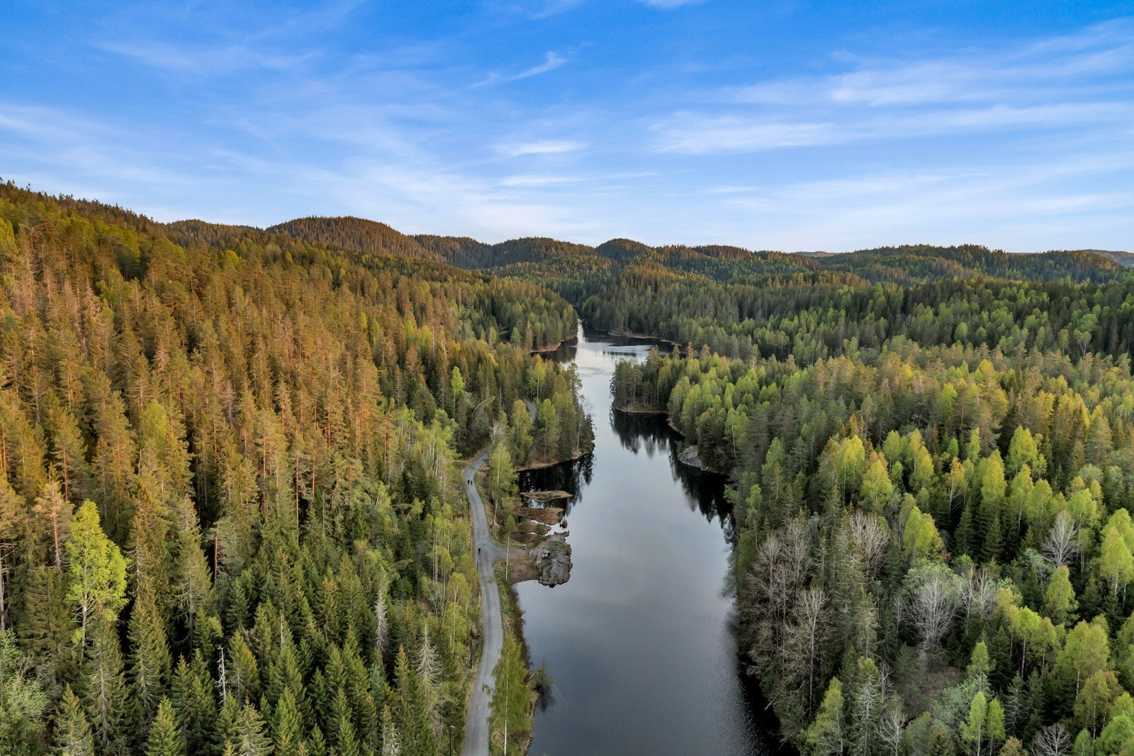 Dronebilde Åmodtdammen Galleribilde