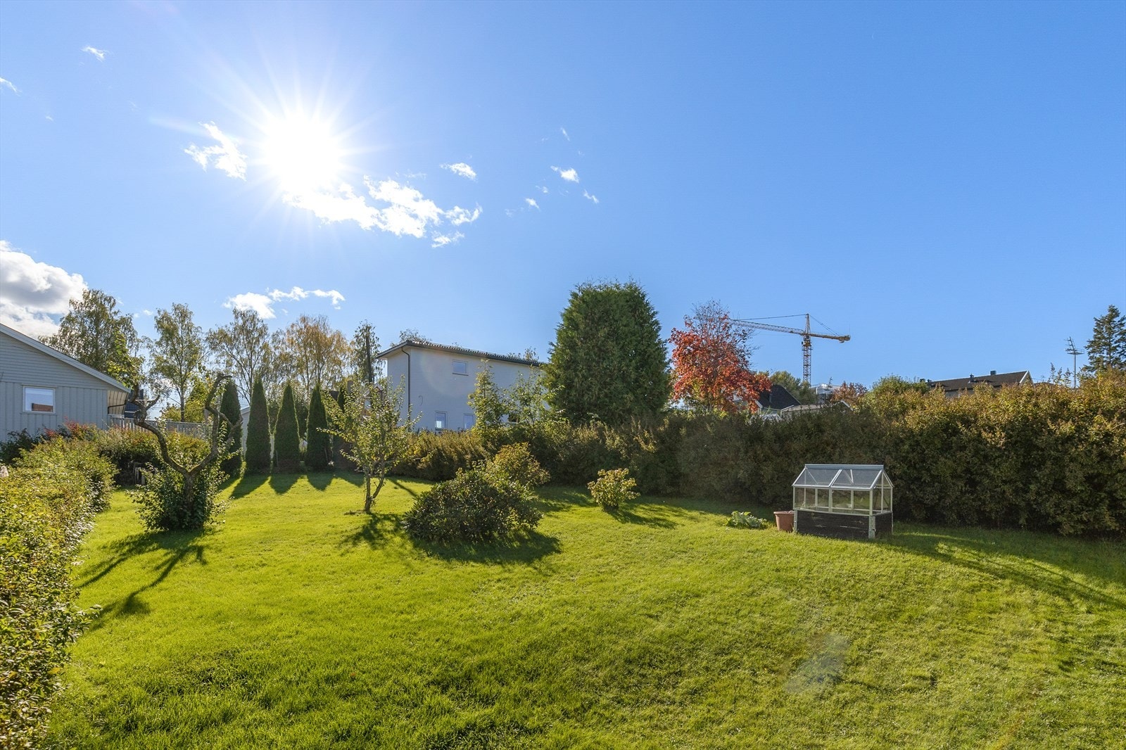Her er det flotte busker, planter og gressplener Galleribilde
