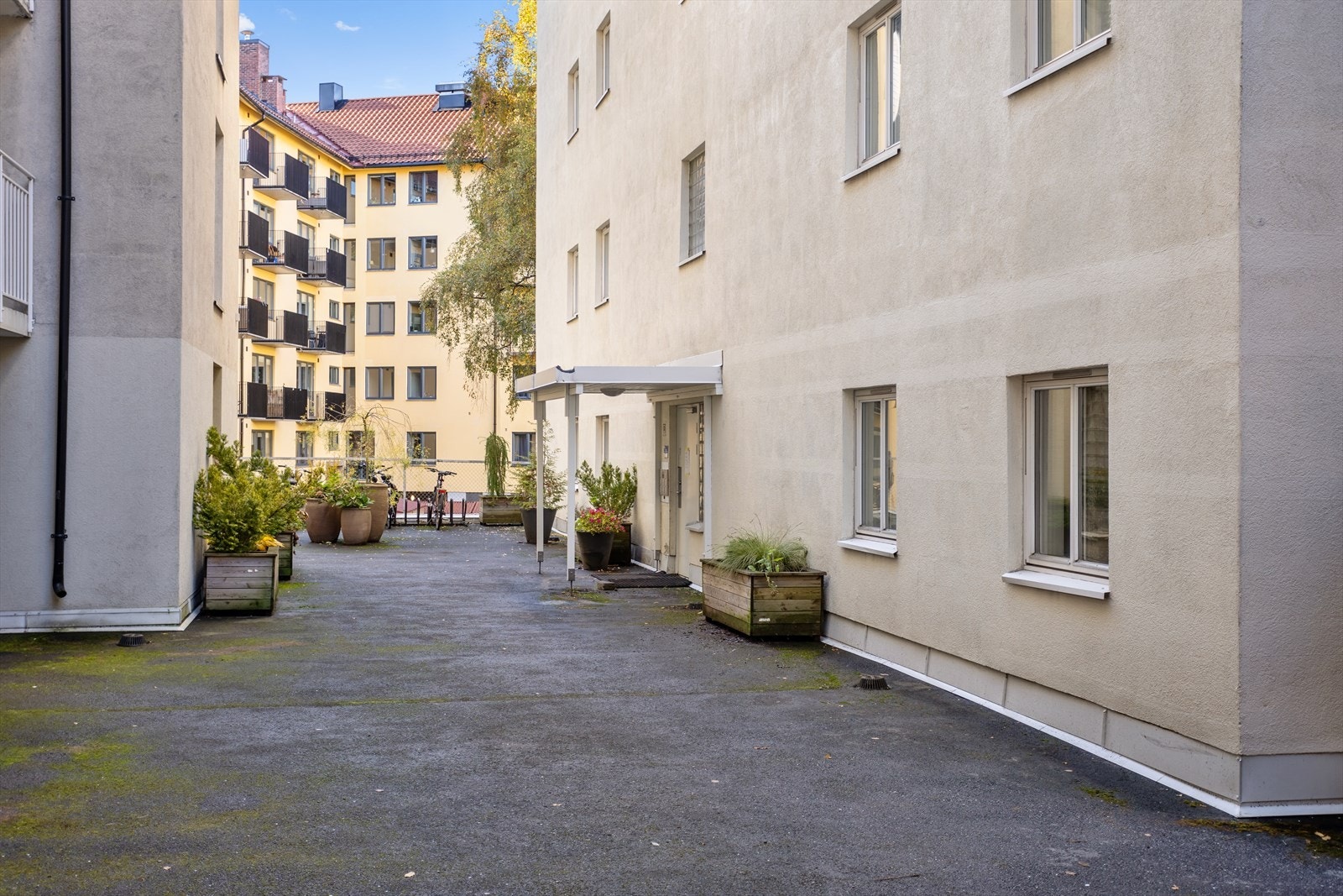 Inngangsparti. Galleribilde