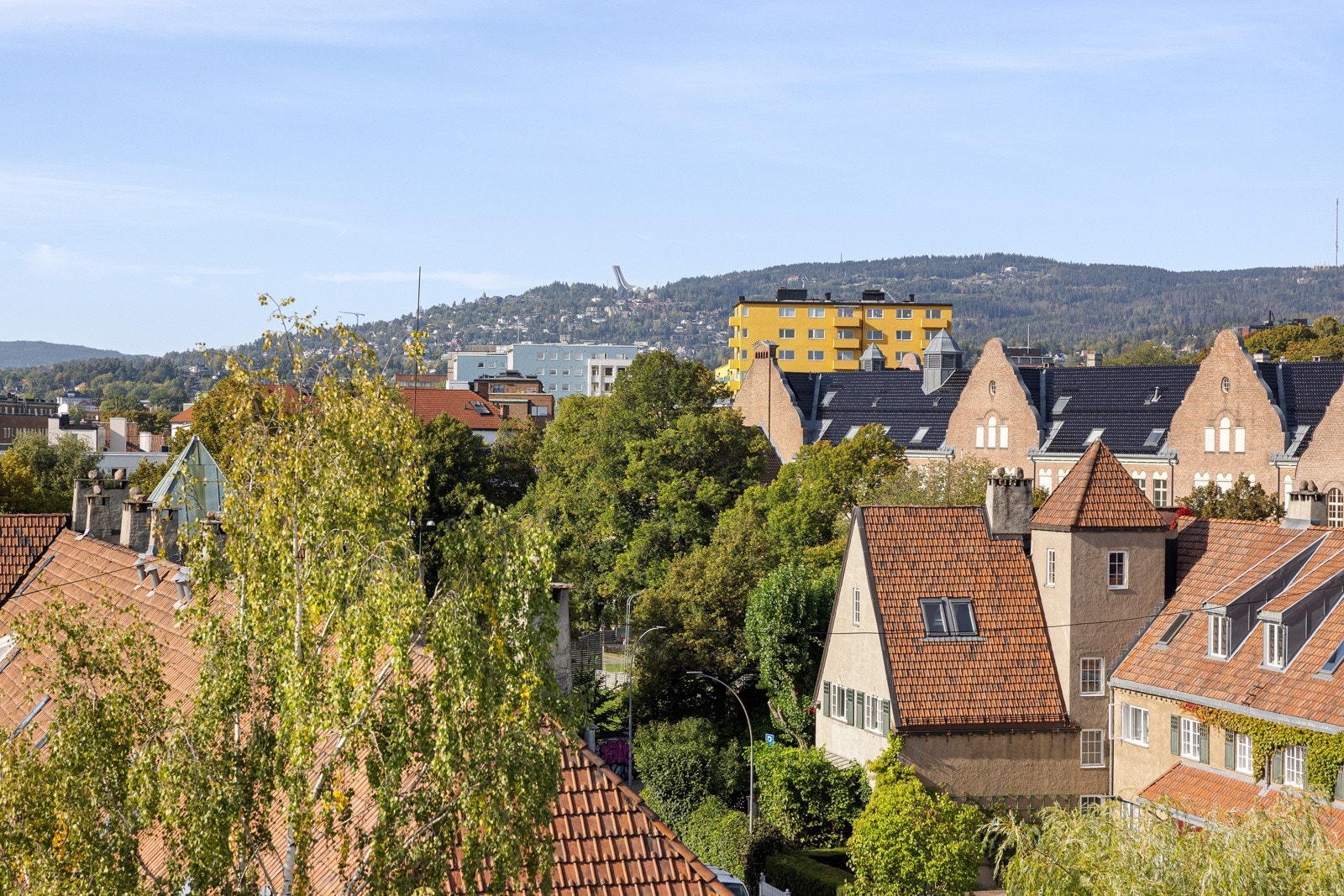 Nydelig utsikt alle veier. Galleribilde