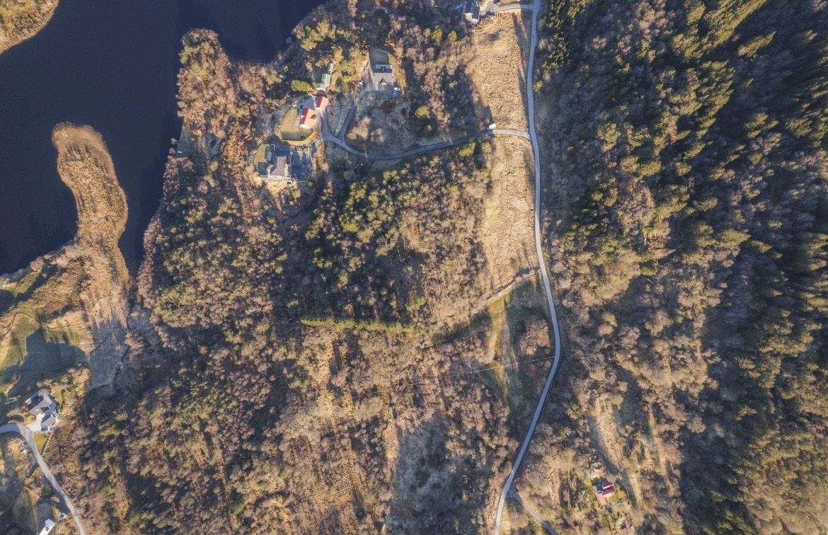 Gripavegen 42. Galleribilde