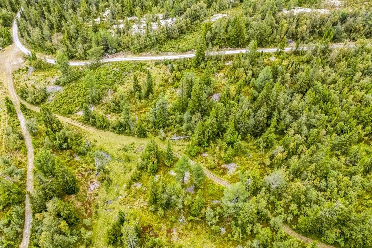 Oversiktsfoto over tomteområdet. Galleribilde