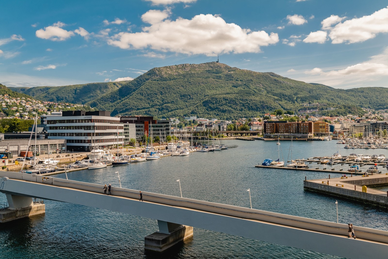 Nydelige omgivelser. Galleribilde