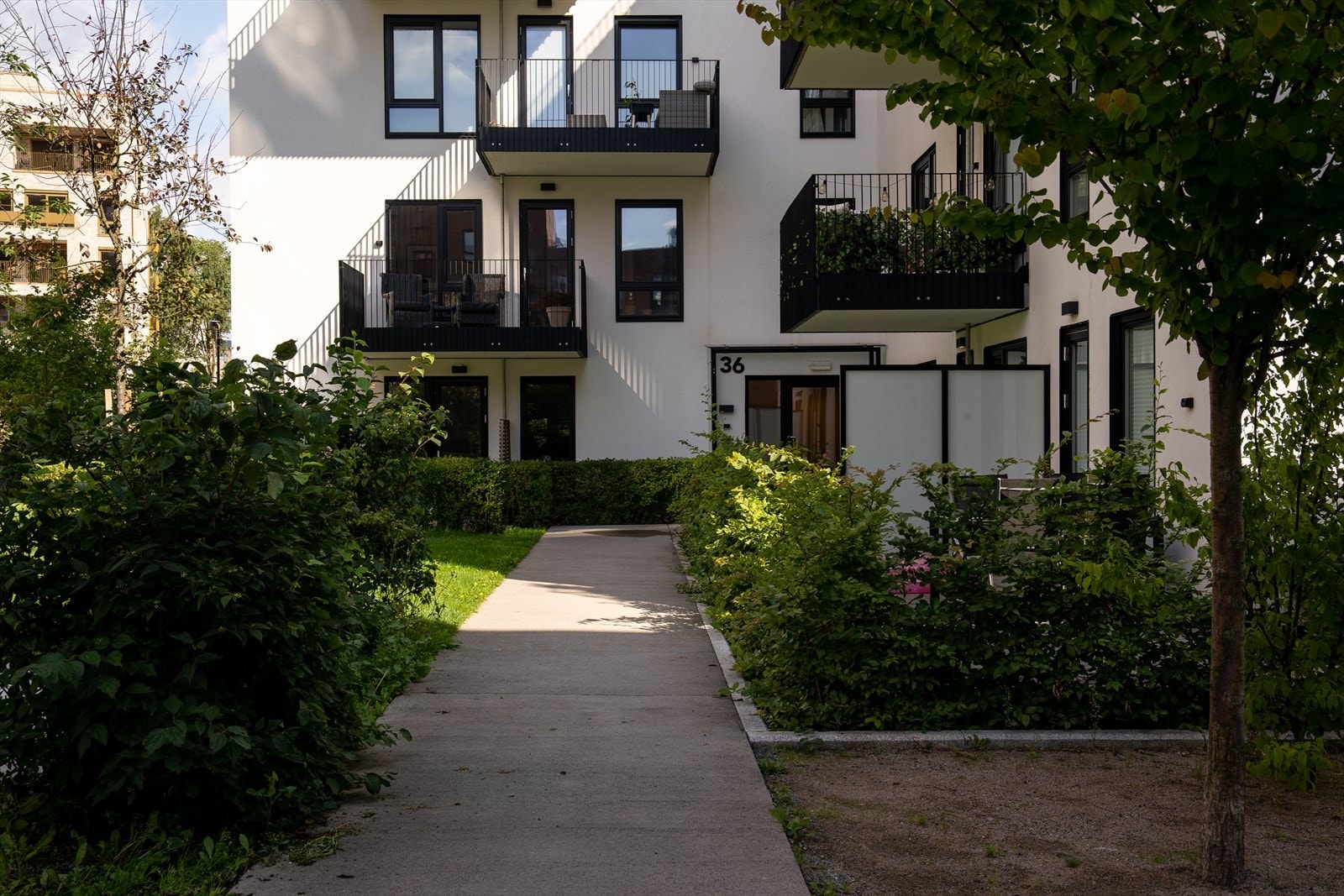 Velkommen til visning! Galleribilde