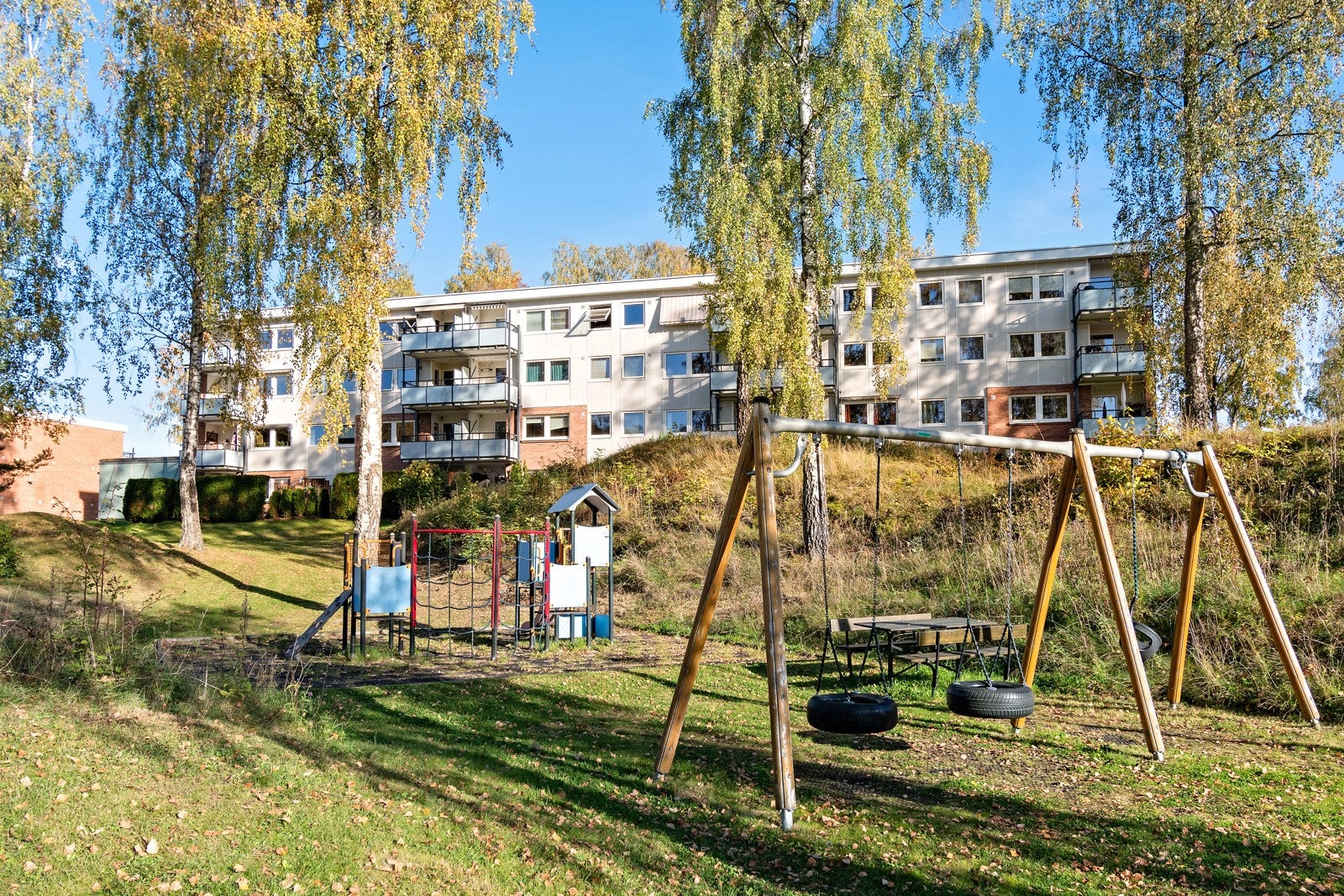 Områdebilder Galleribilde