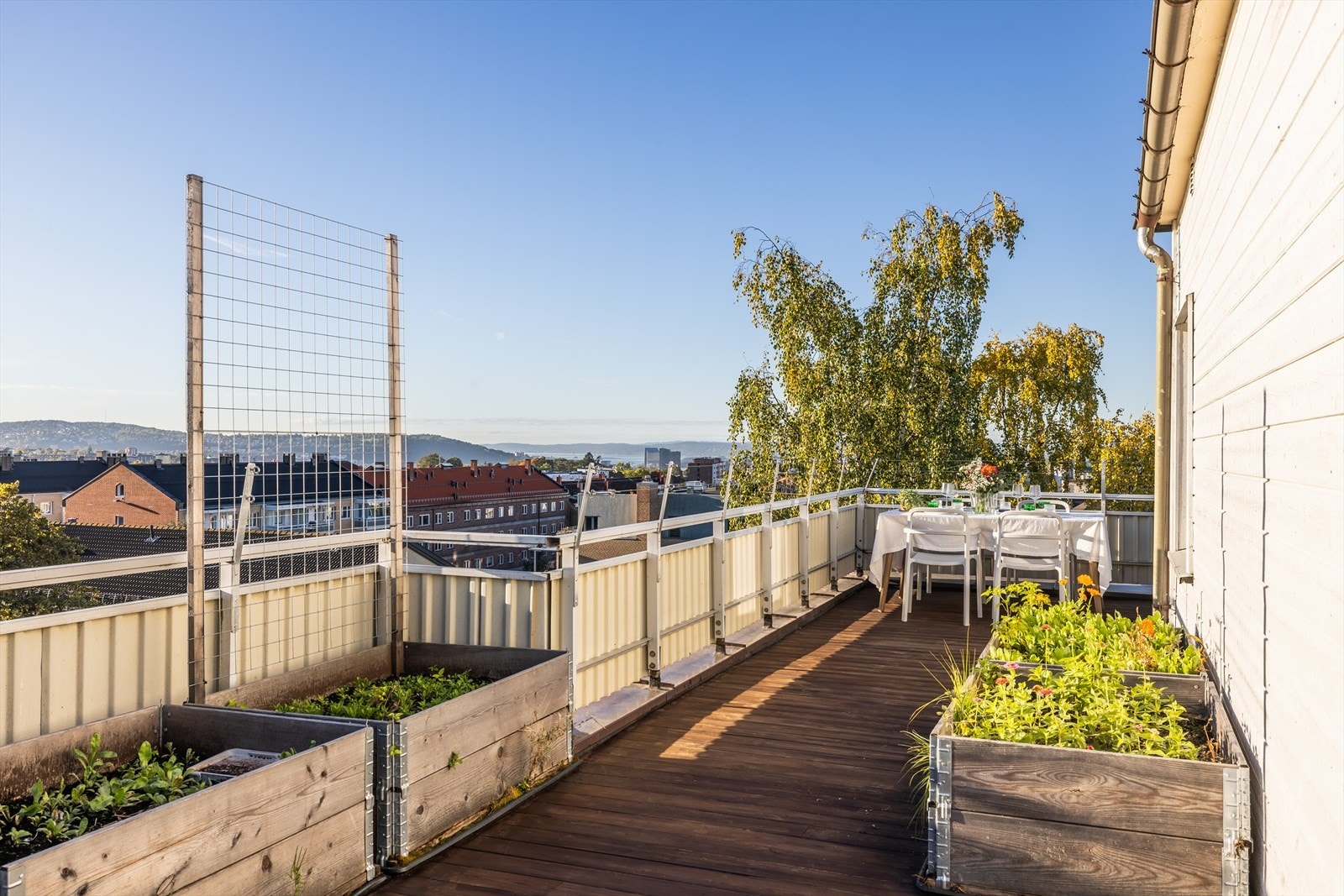 Selger har satt opp flere plantekasser som følger boligen. Galleribilde