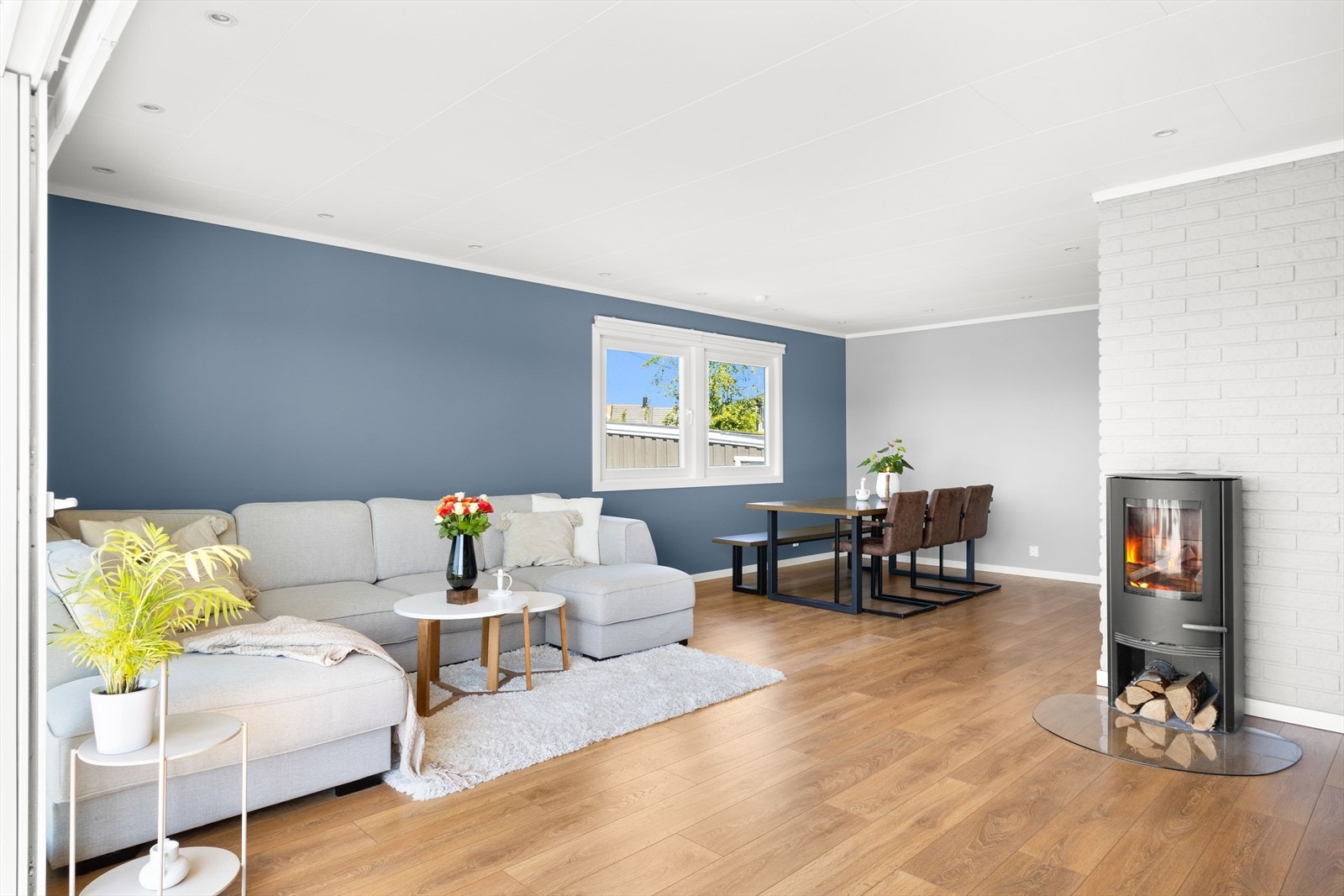 2P1A6545.jpg Galleribilde