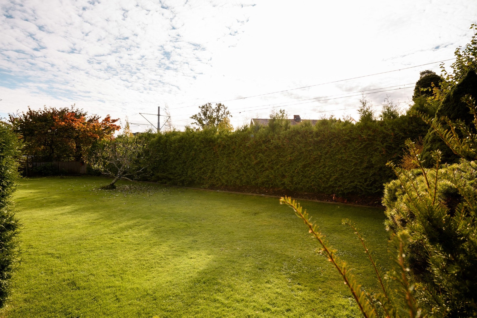 Det er rikelig med boltreplass i den store, sydvestvendte felleshagen. Galleribilde