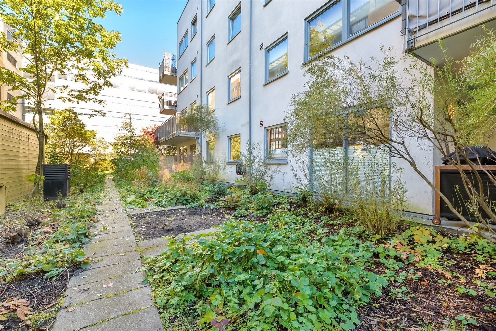 Bak nr. 23 finner du 4 parseller hvor det dyrkes grønnsaker, bær og frukt. Galleribilde