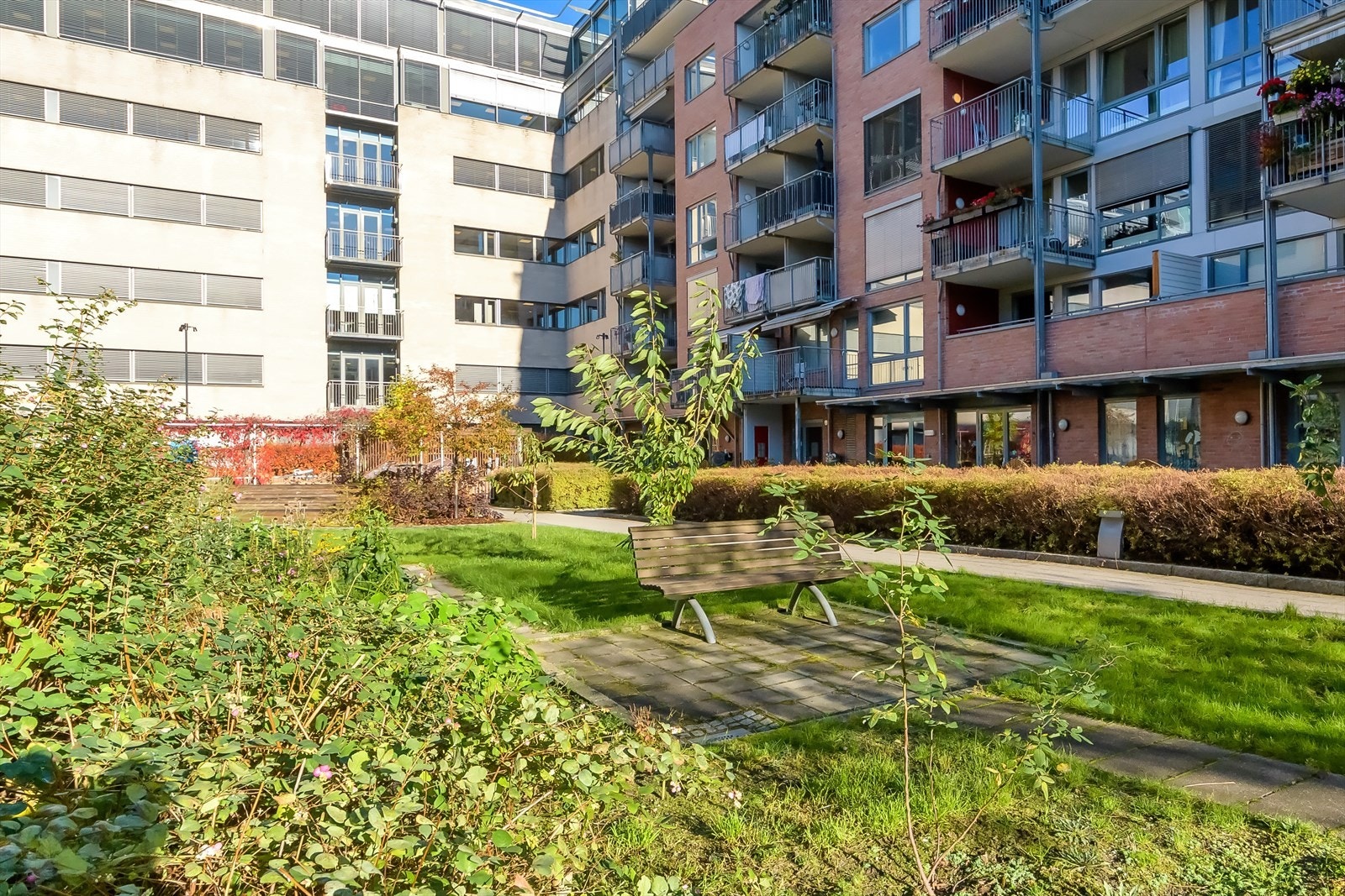 De siste årene har vi fått en bakgård som
har blitt finere og finere på grunn av en engasjert
hagegruppe. Galleribilde