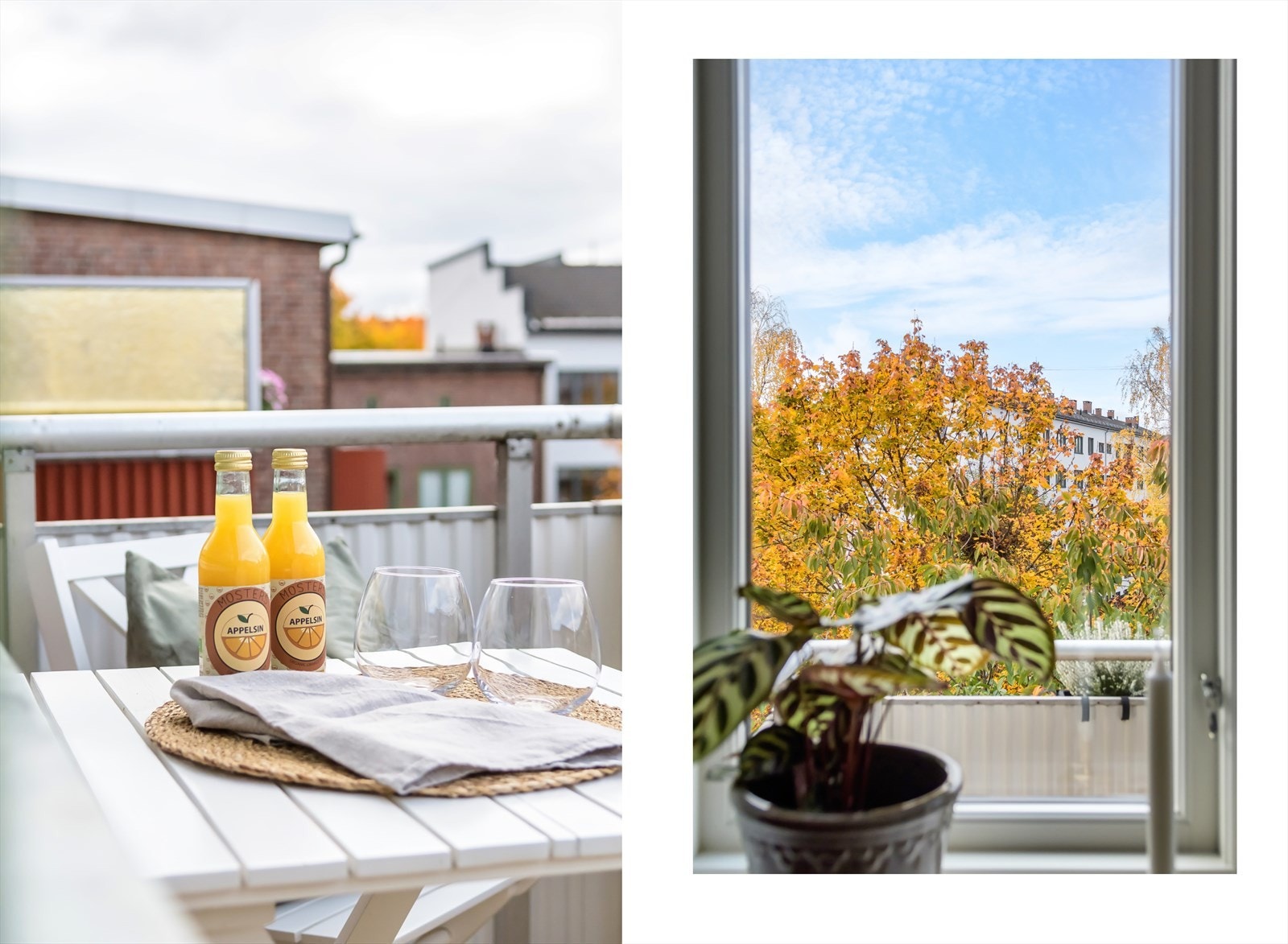 Her kan du nyte late sommerdager i solen Galleribilde