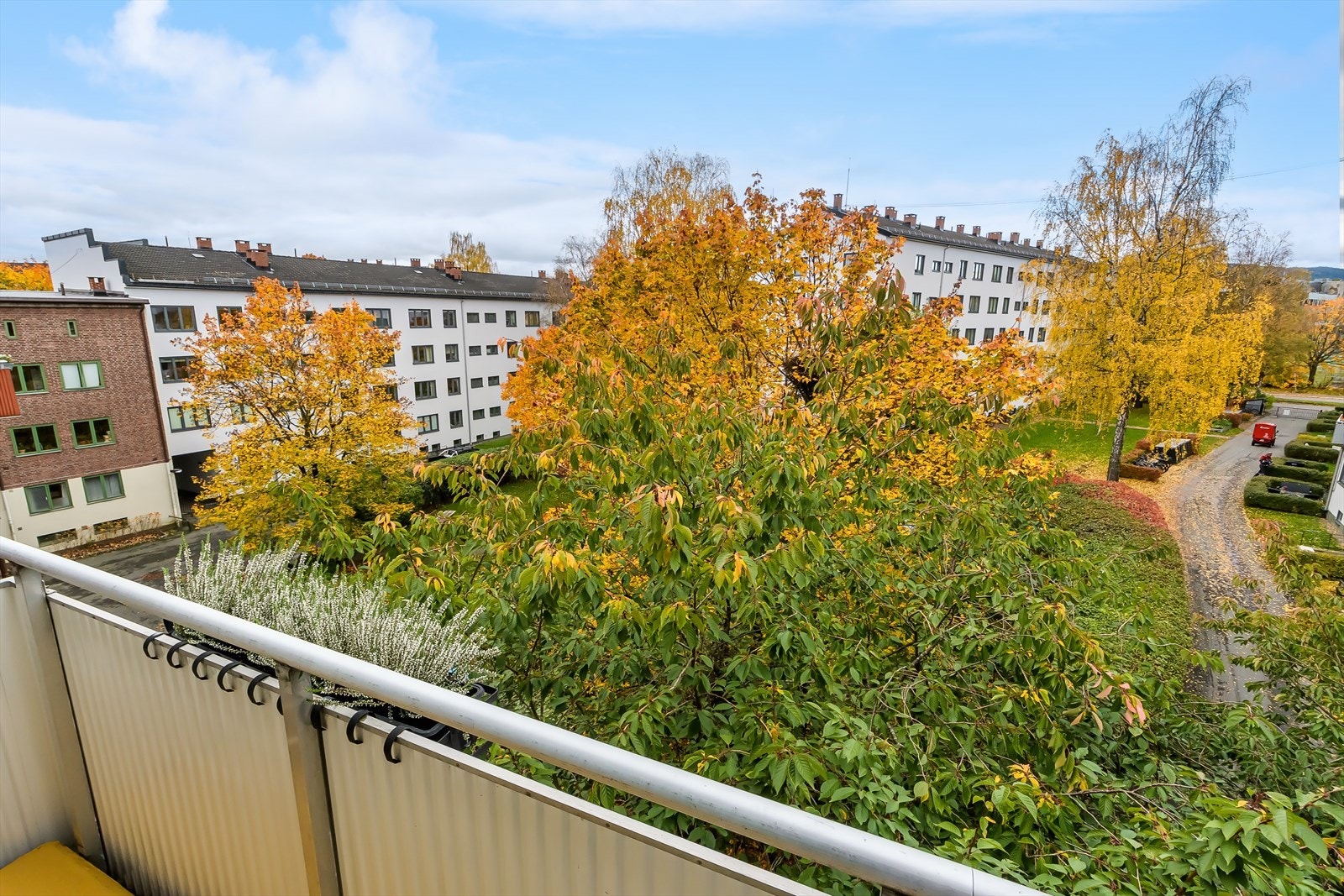 Usjenert beliggenhet mot rolig bakgård Galleribilde
