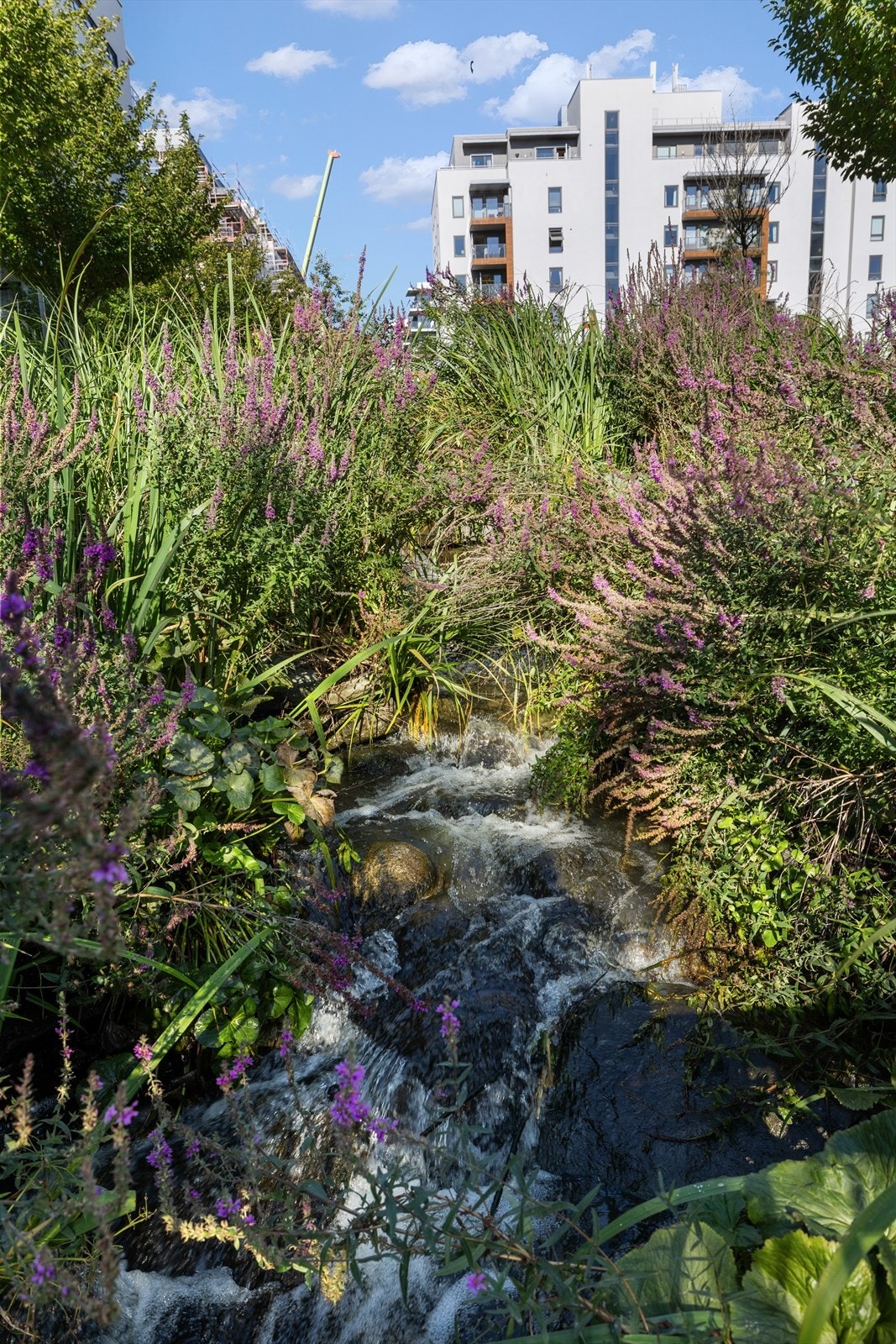 Fra balkongene kan du se ned på Hovinbekken som sildrer forbi. Galleribilde