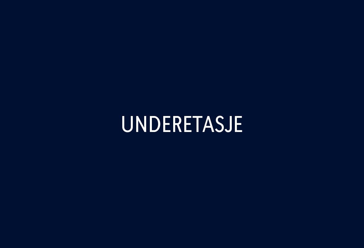 Underetasje Galleribilde