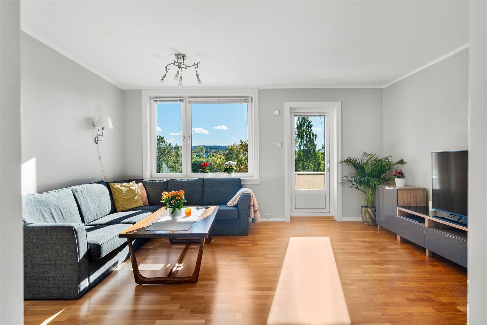 Rommet har plass til sofa, tv-bord og spisegruppe. Galleribilde