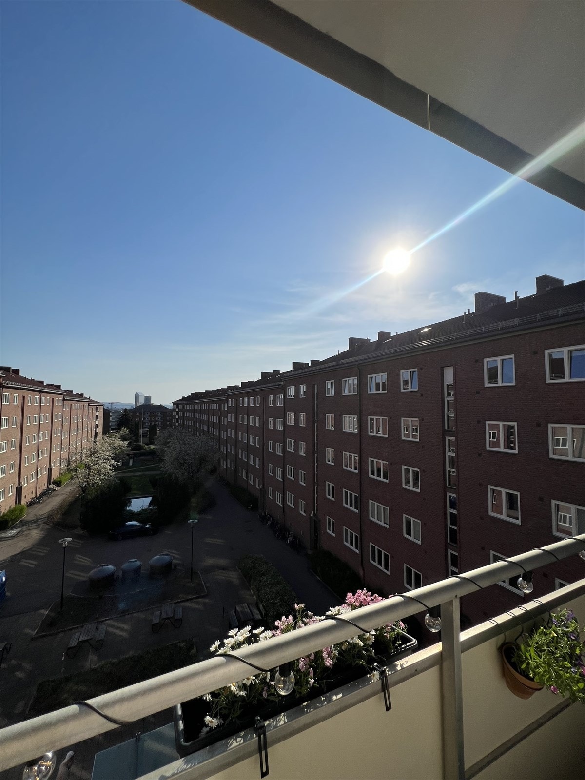 Selgers private bilder. Galleribilde