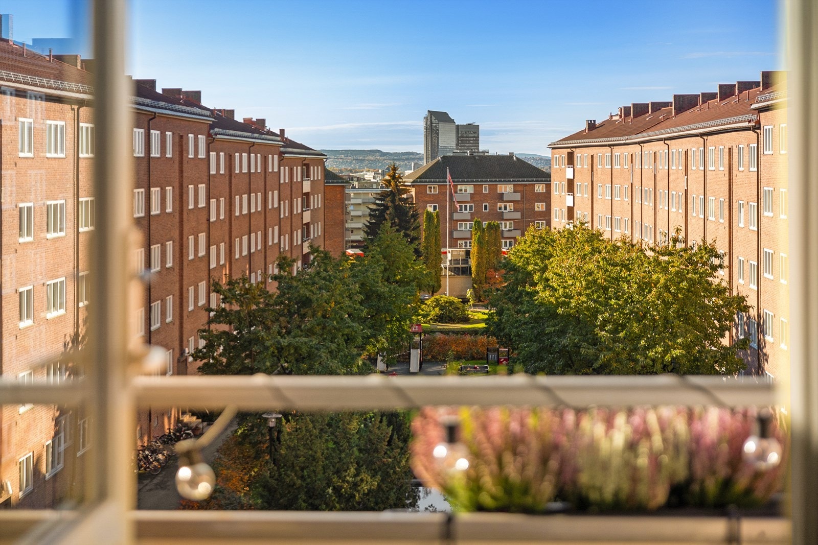 Åpen og fin utsikt fra balkongen og stuen. Galleribilde