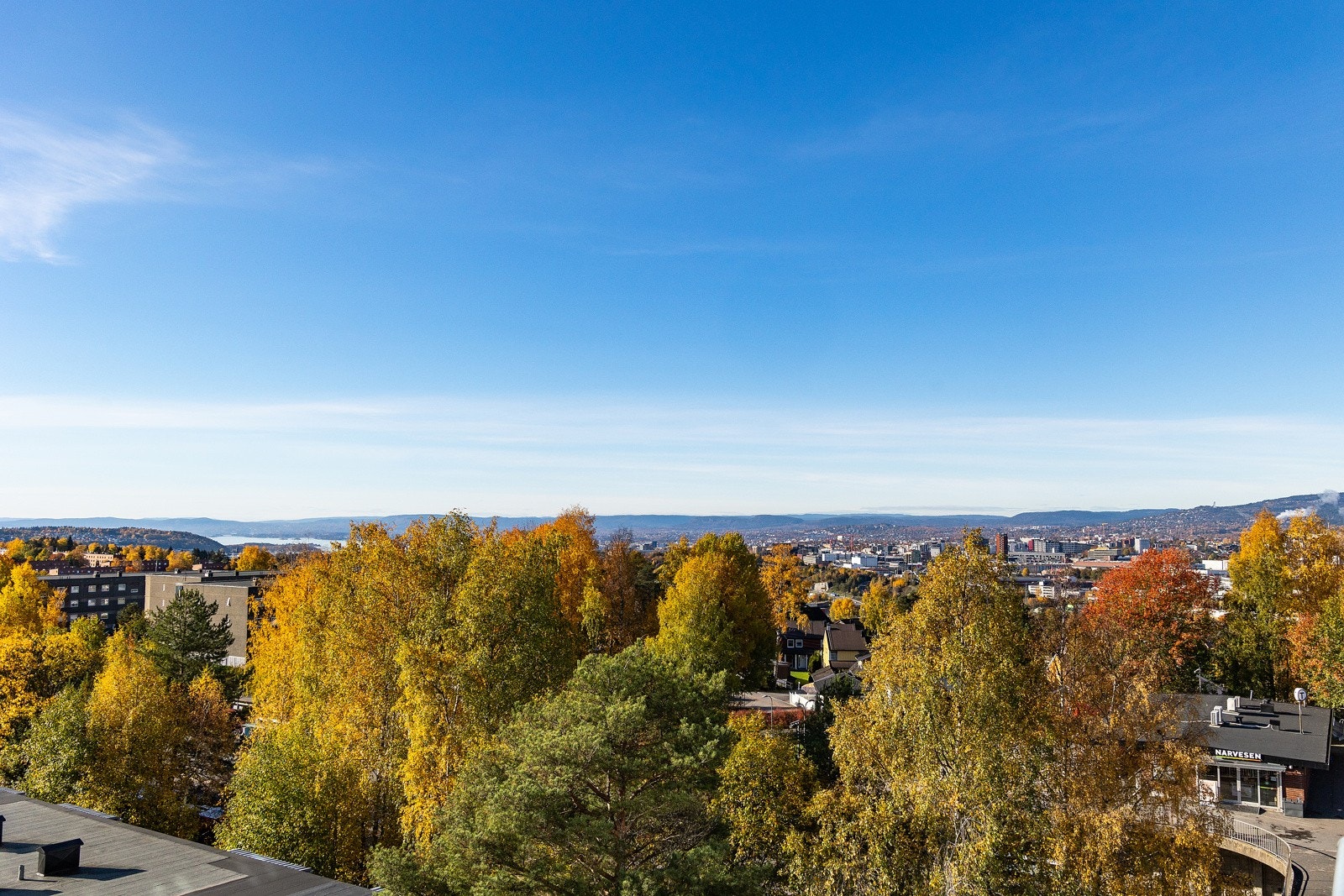 Utsikt. Galleribilde