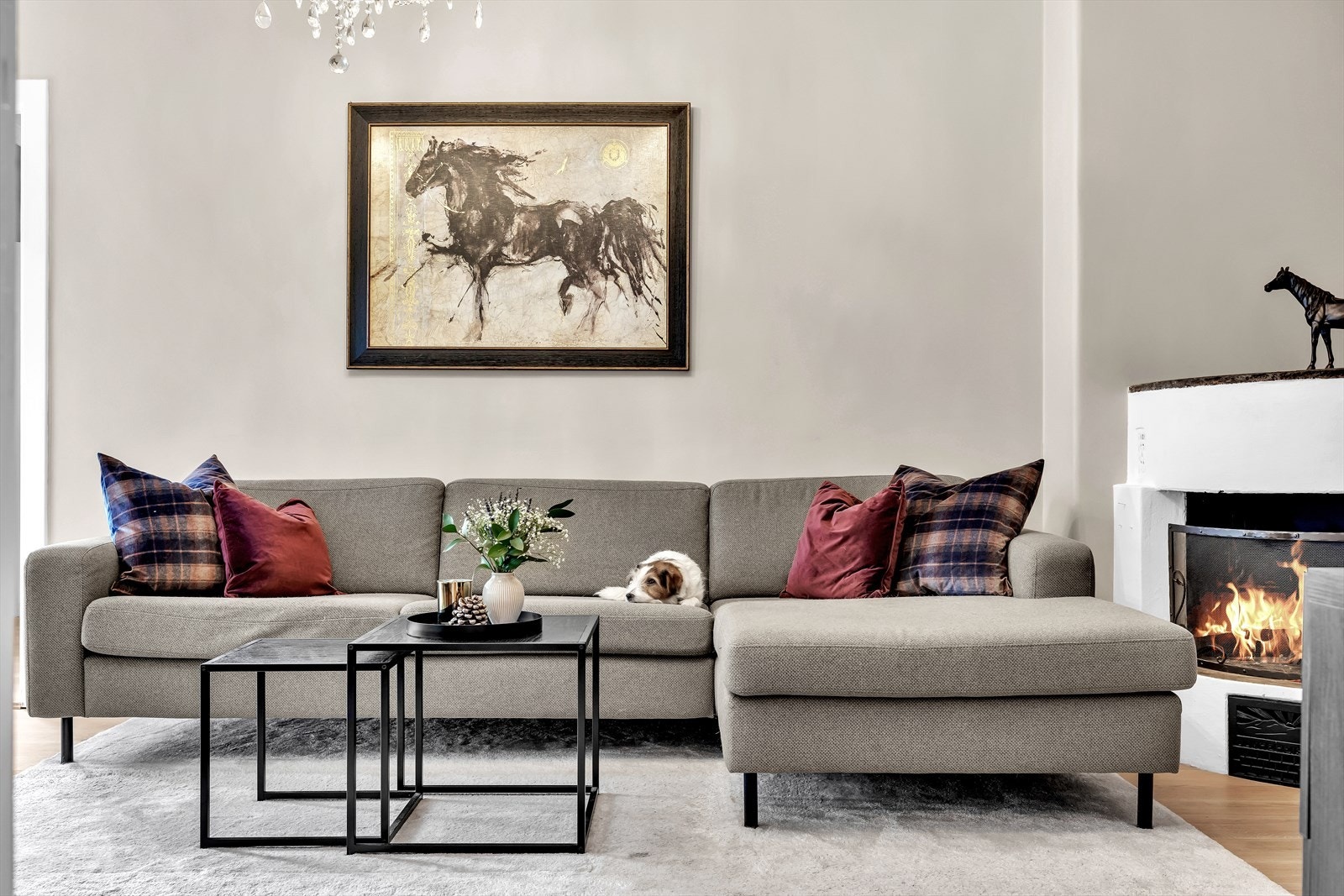 Her trives både de to- og firbeinte. Galleribilde