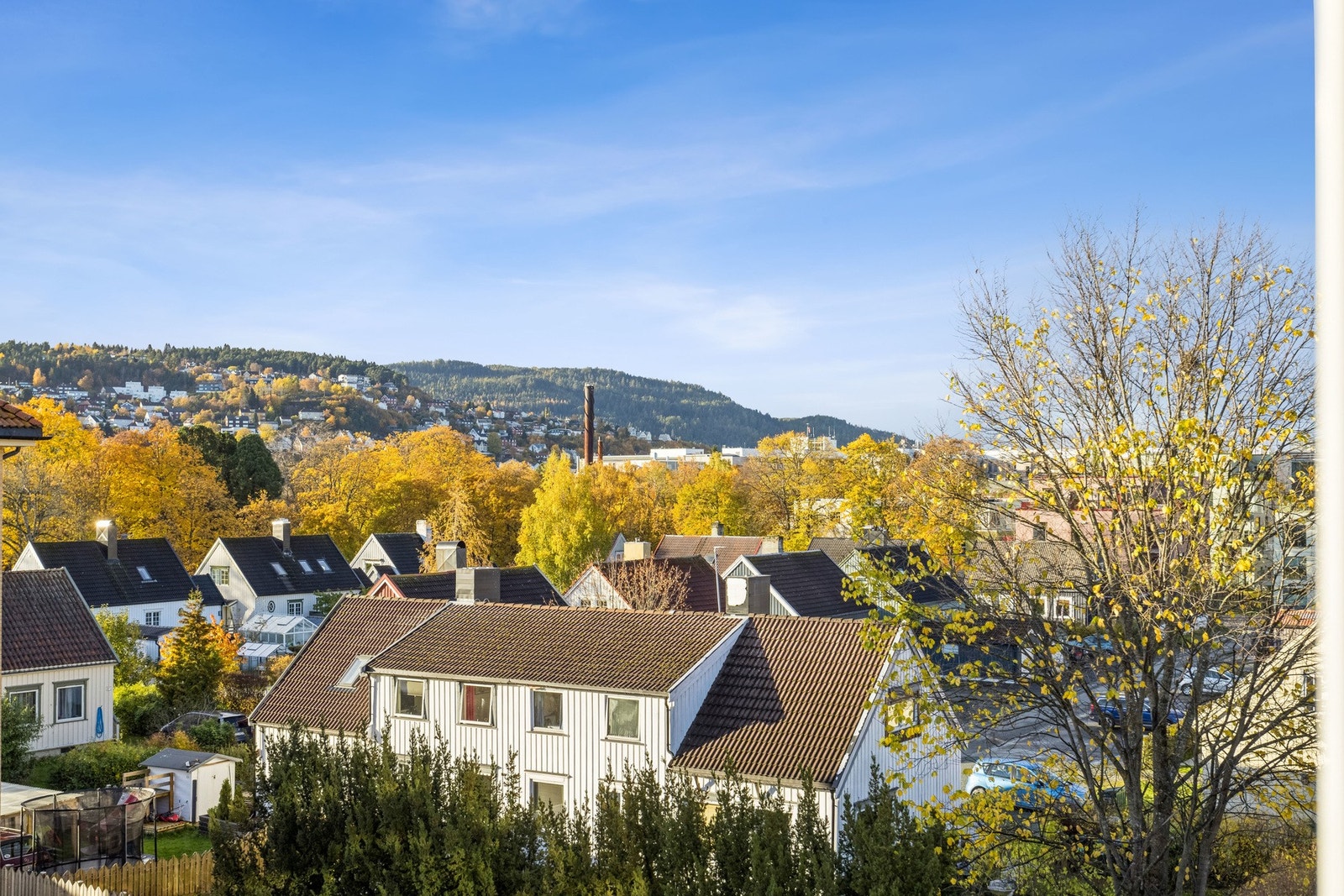 Usjenert utsikt mot fjorden. Galleribilde