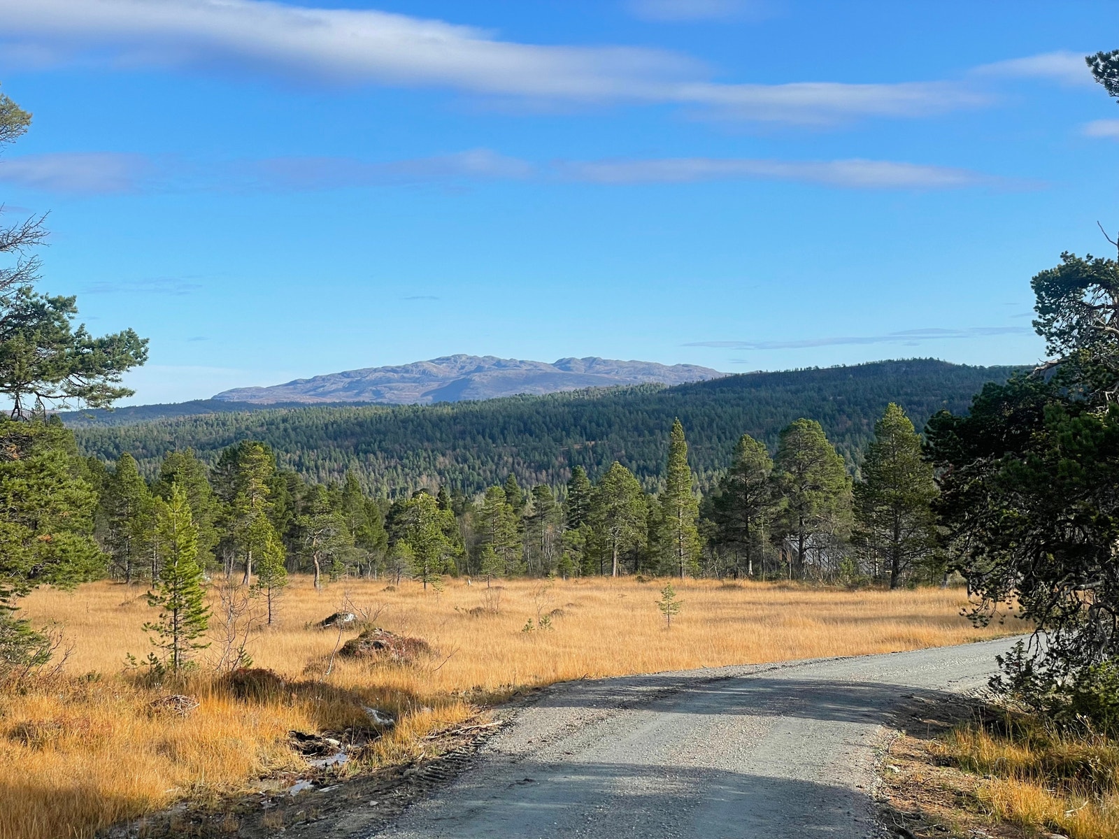 Øvre Granslettet Galleribilde