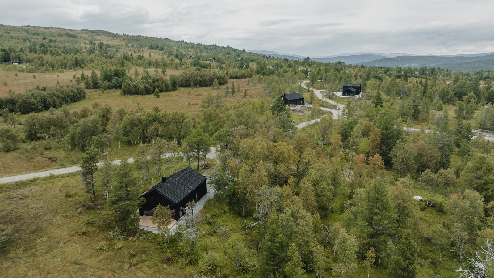 Myrslettet Galleribilde