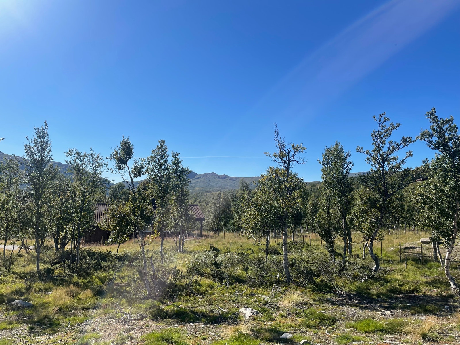 Kåsenget Galleribilde