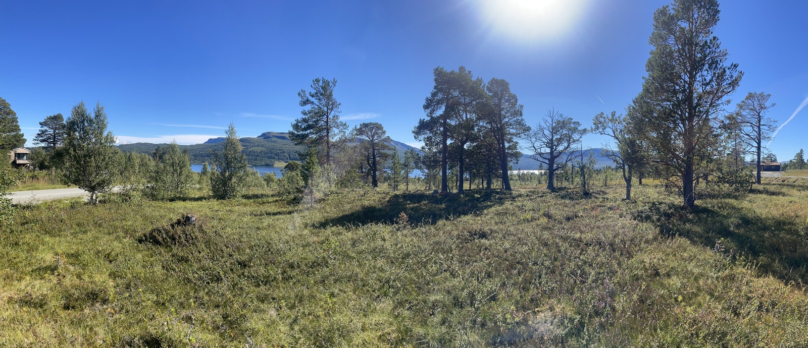 Ånegga Galleribilde