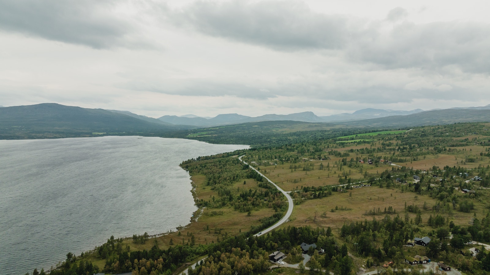 Nerskogen Galleribilde
