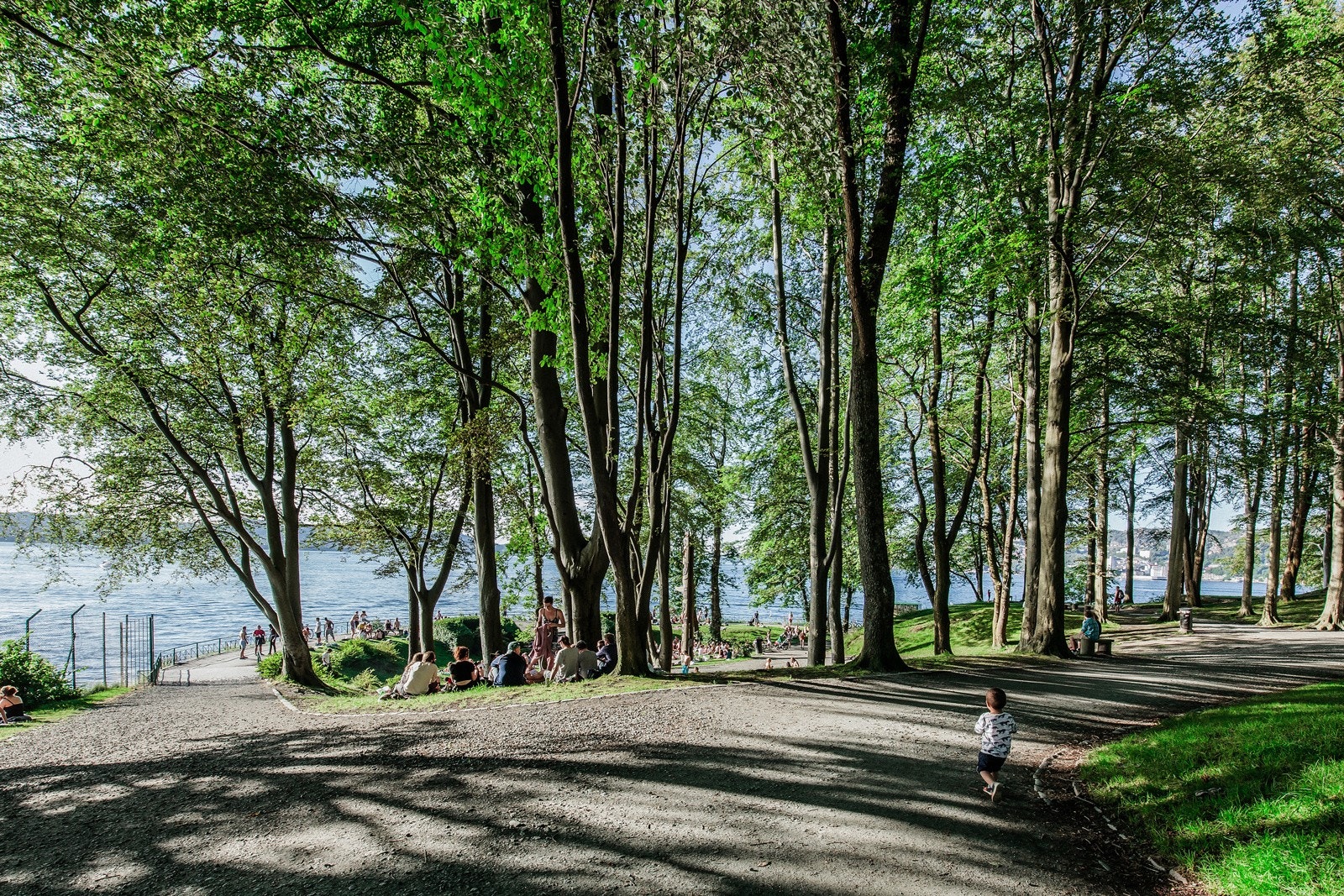Like i nærheten finner du Nordnes parken, med Nordnes sjøbad. Galleribilde