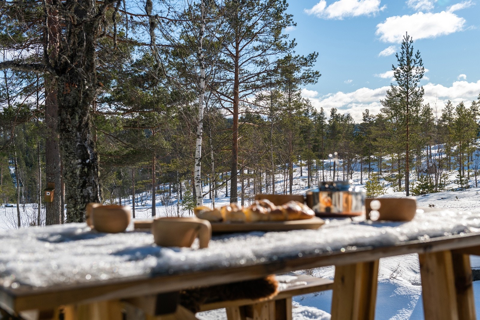 Har man en slik hytte, så forplikter det å være litt utendørs. Hytta har omgivelsene som hjelper deg å komme ut! Galleribilde