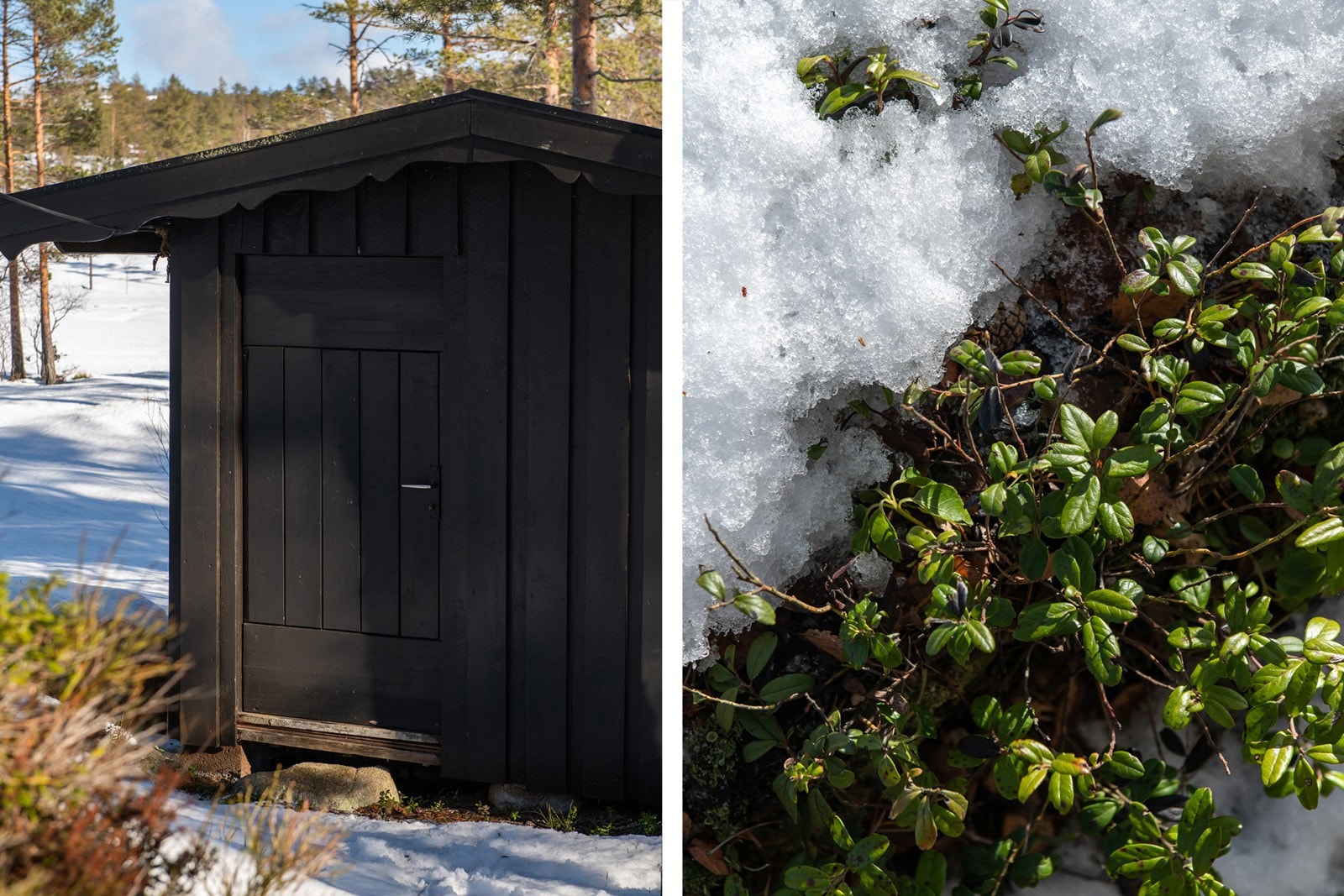 Utebod med utedo. Galleribilde