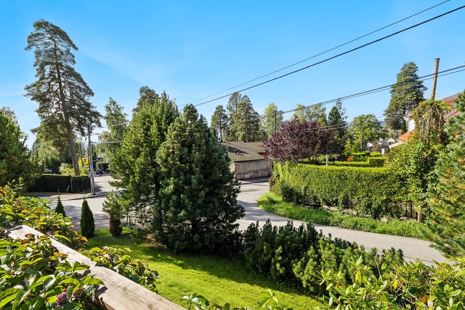 Utsikten fra balkongen. Galleribilde