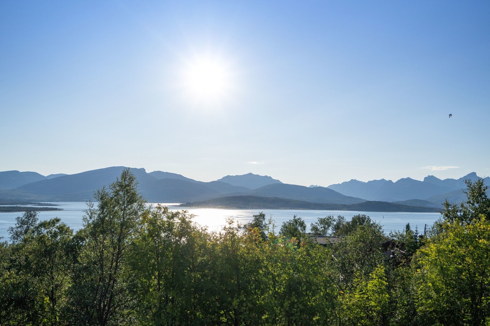 Området bader i sol fra morgen til kveld. Galleribilde