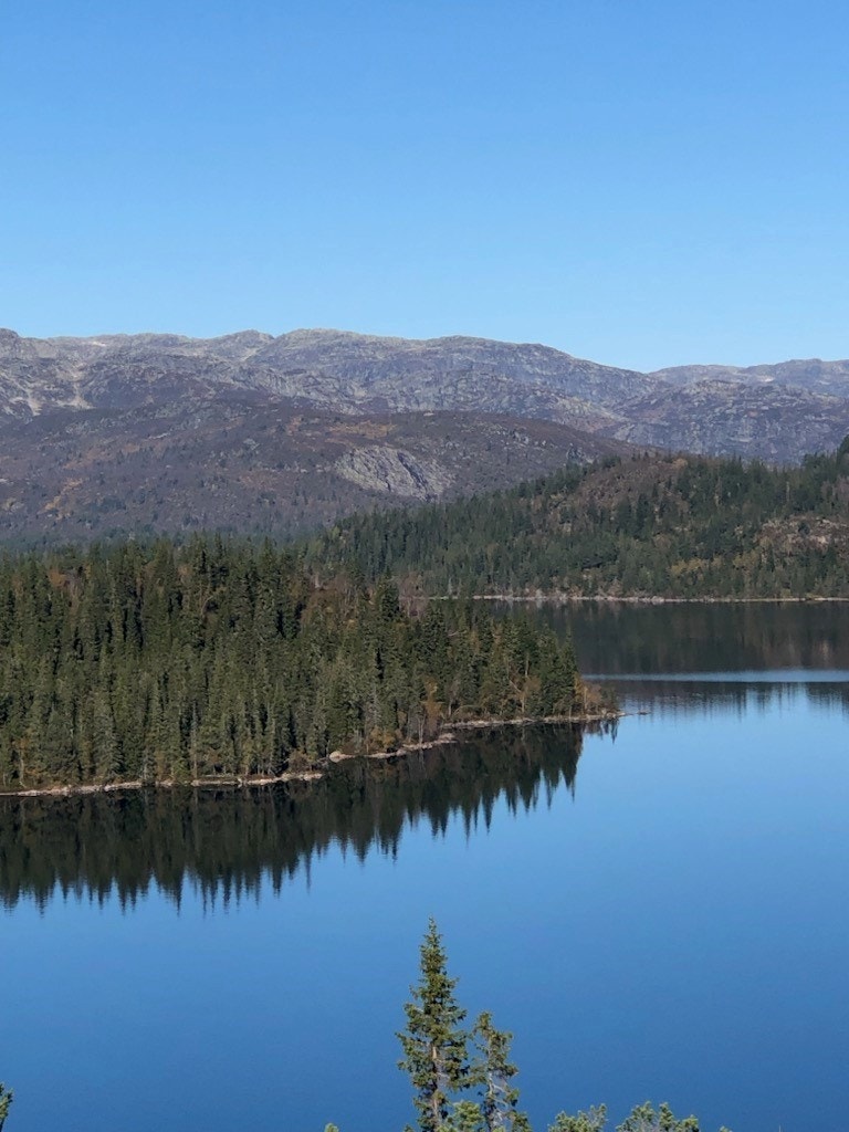 Selgers egne bilder - området Galleribilde