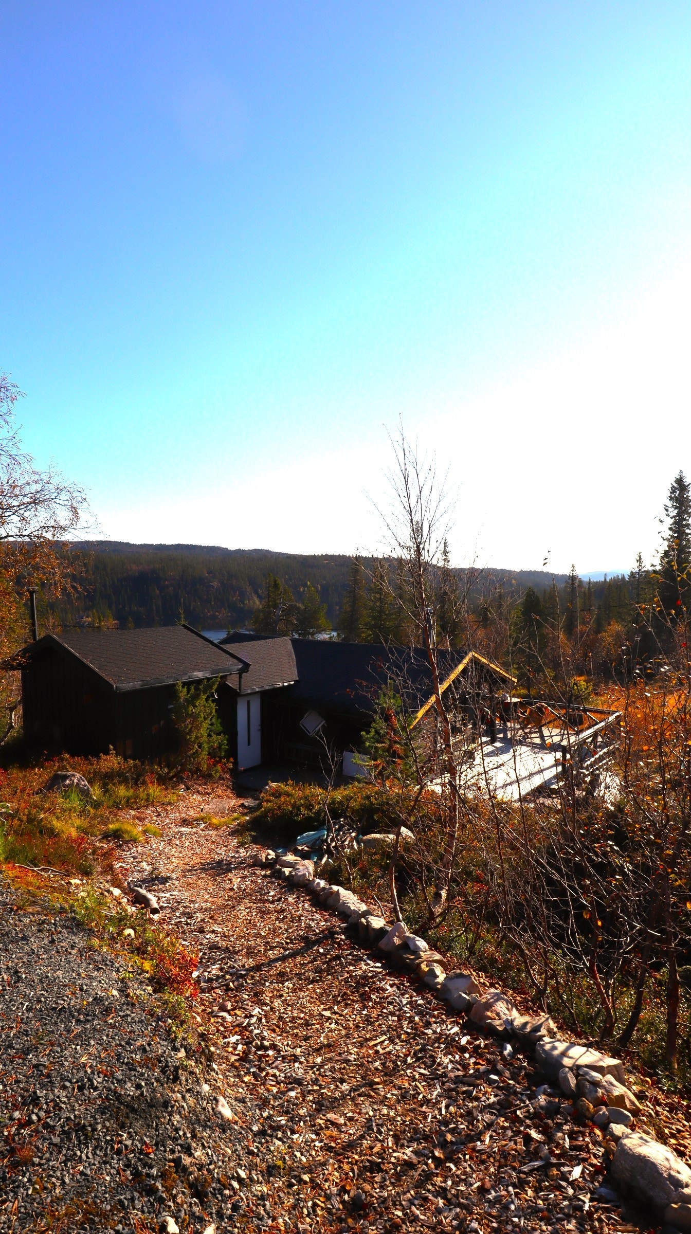 Adkomst til hytta Galleribilde