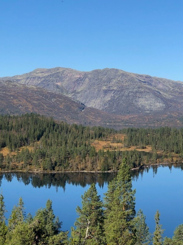 Selgers egne bilder - området Galleribilde