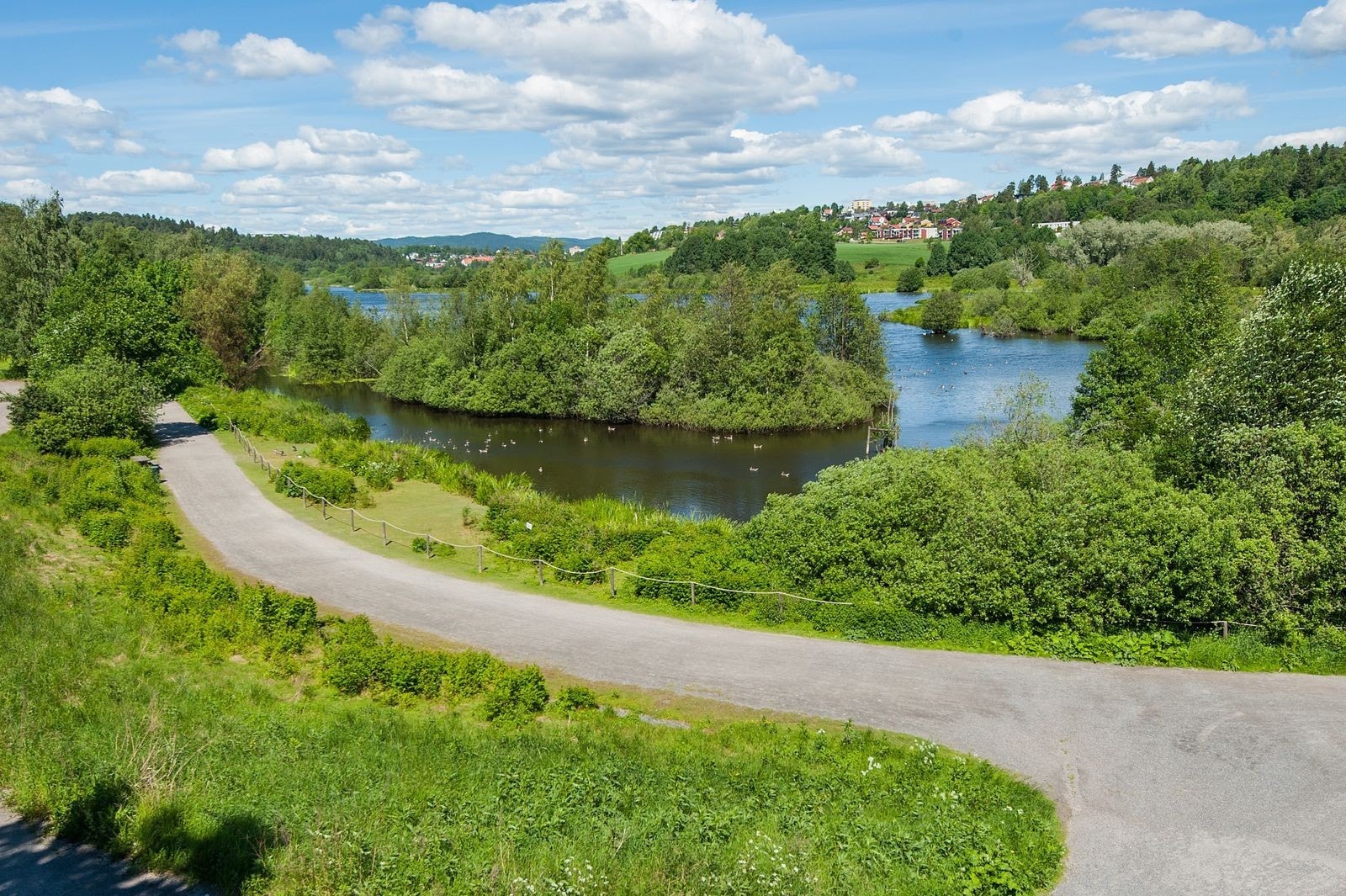 Østensjøvannet er et populært område for mosjon og rekreasjon. I tillegg er det kjent for sitt yrende fugle- og dyreliv. Galleribilde