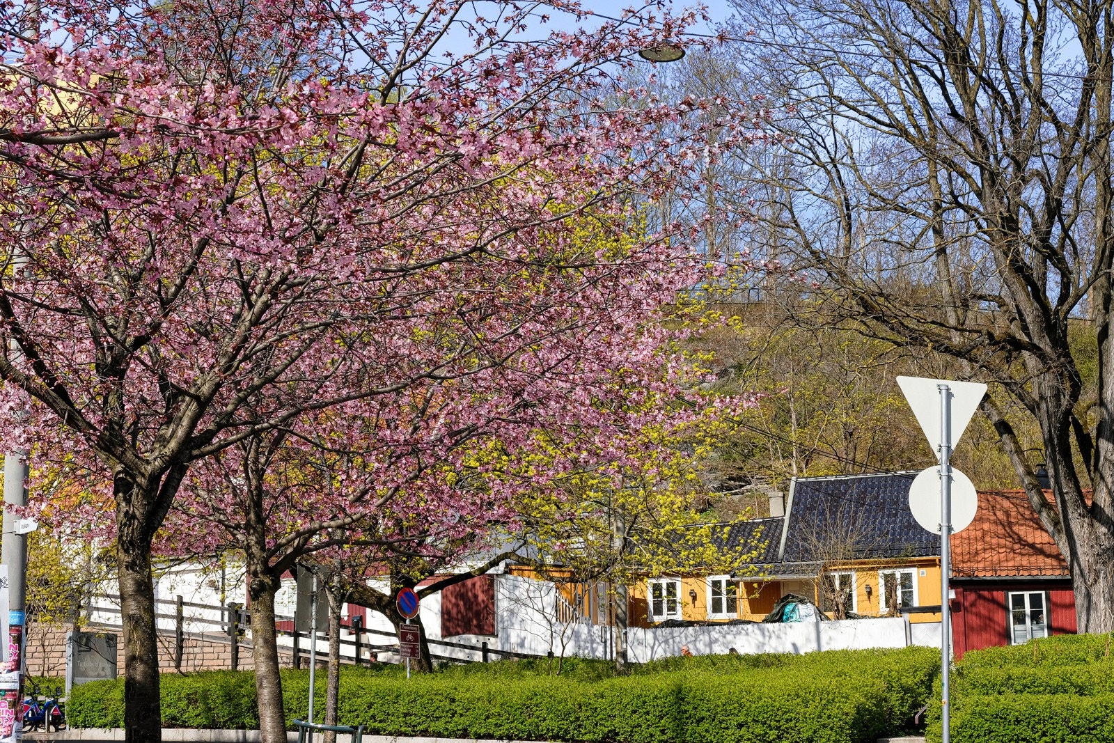 Fredenborg er ett koselig sted midt i byen. Galleribilde