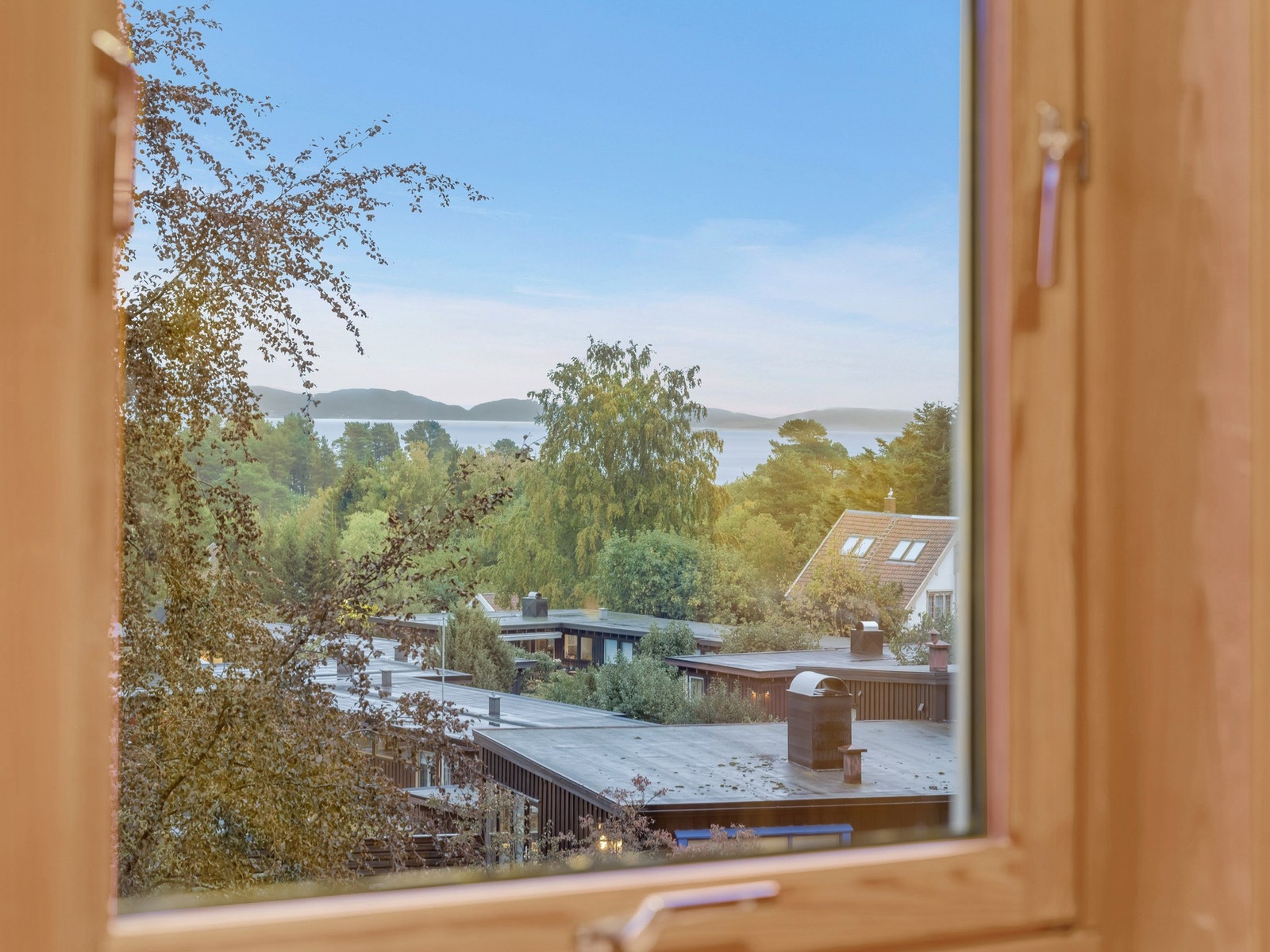 Fin utsikt fra kontoret. Galleribilde